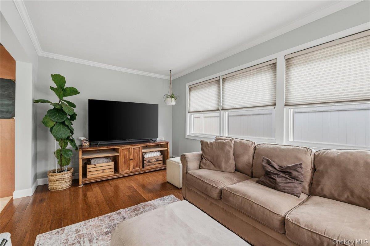 Single Family Jefferson Street Nassau County, NY 11510, MLS-1031357-19