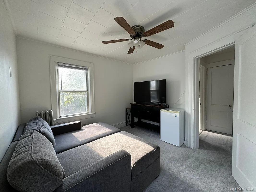 Single Family E 52nd Street Brooklyn, NY 11234, MLS-1031365-14