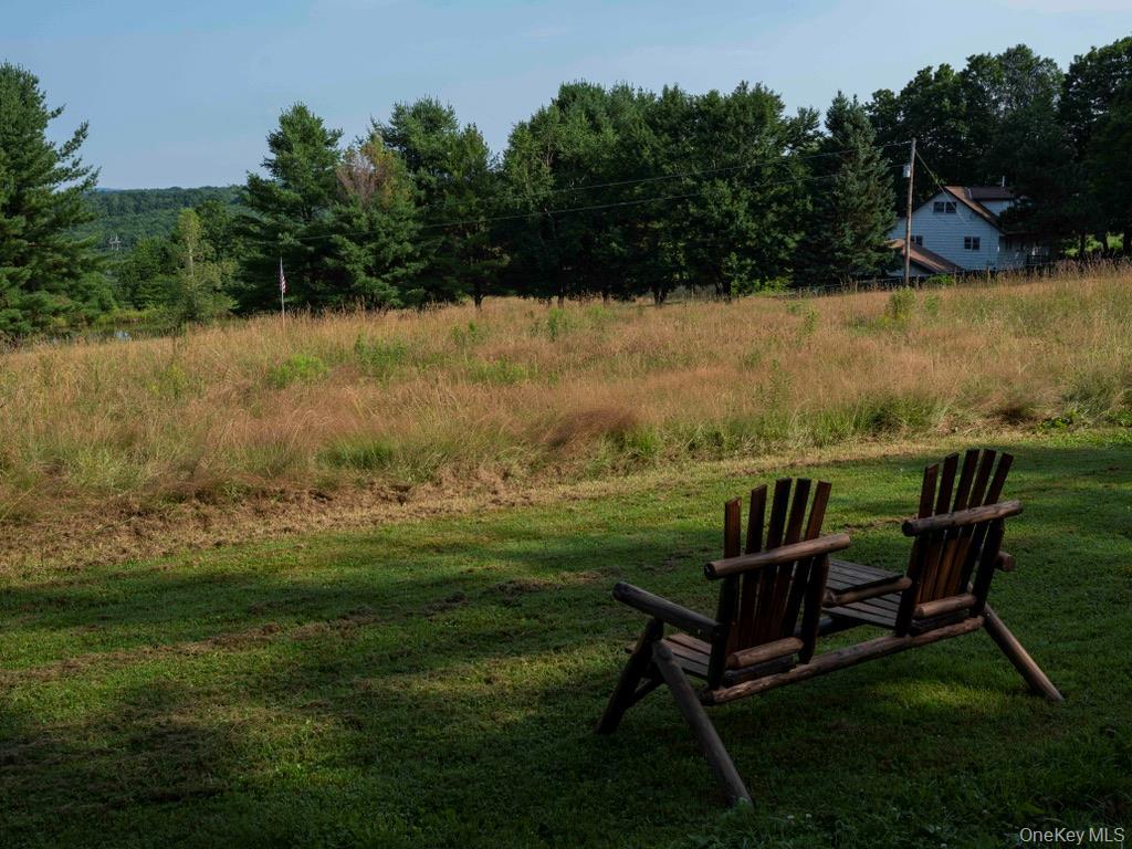 Single Family Ridge Road  Delaware County, NY 13782, MLS-1031377-29