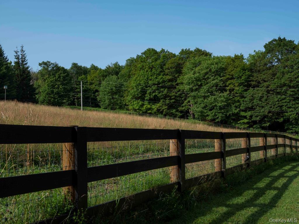 Single Family Ridge Road  Delaware County, NY 13782, MLS-1031377-32