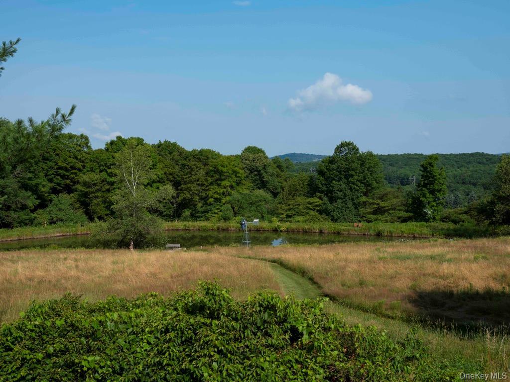 Single Family Ridge Road  Delaware County, NY 13782, MLS-1031377-33