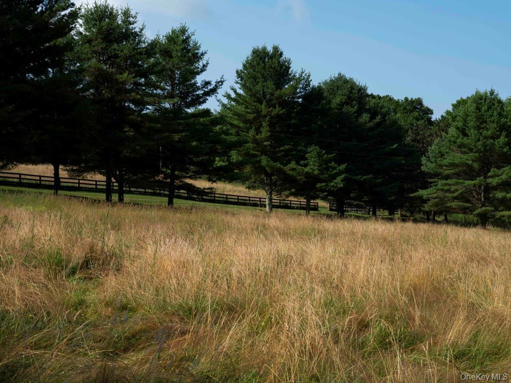 Single Family Ridge Road  Delaware County, NY 13782, MLS-1031377-35
