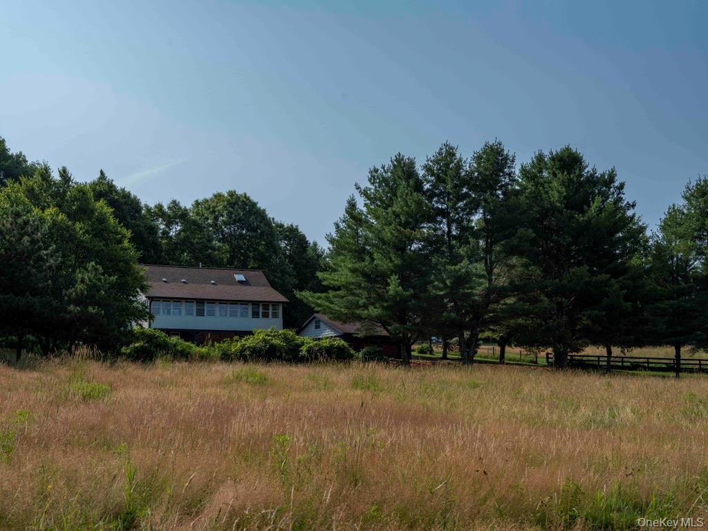 Single Family Ridge Road  Delaware County, NY 13782, MLS-1031377-37