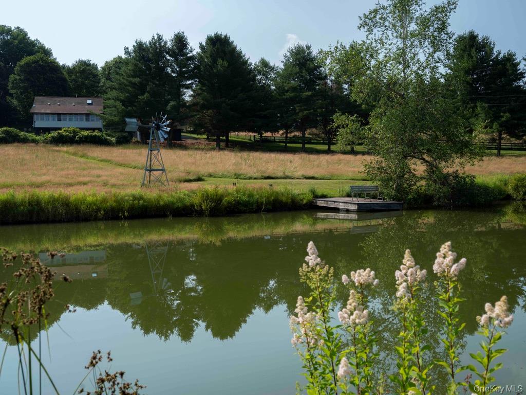 Single Family Ridge Road  Delaware County, NY 13782, MLS-1031377-38