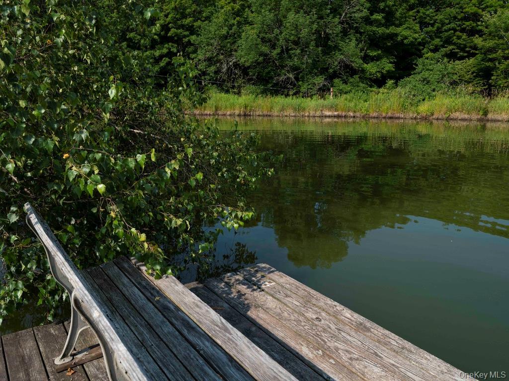 Single Family Ridge Road  Delaware County, NY 13782, MLS-1031377-39
