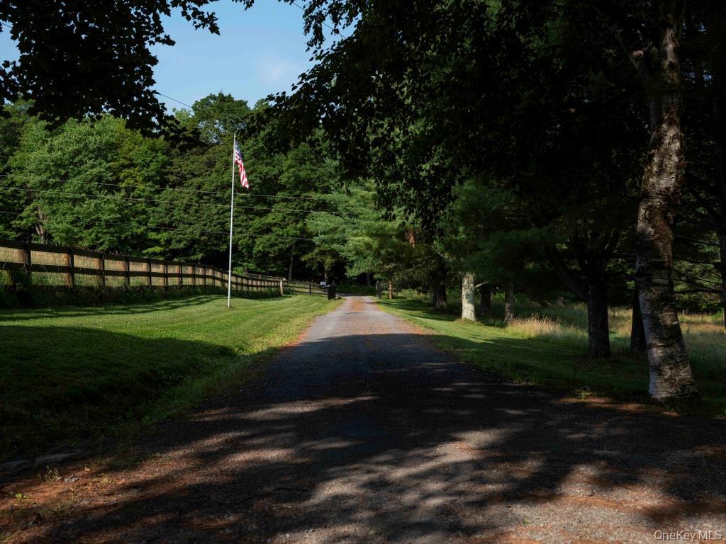 Single Family Ridge Road  Delaware County, NY 13782, MLS-1031377-6