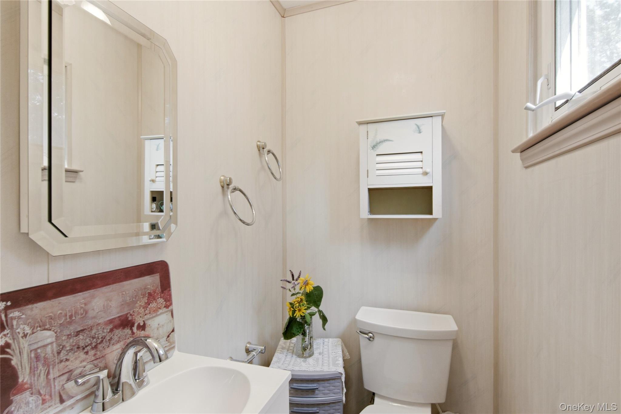 Single Family Clymer Street Suffolk County, NY 11776, MLS-1031407-13