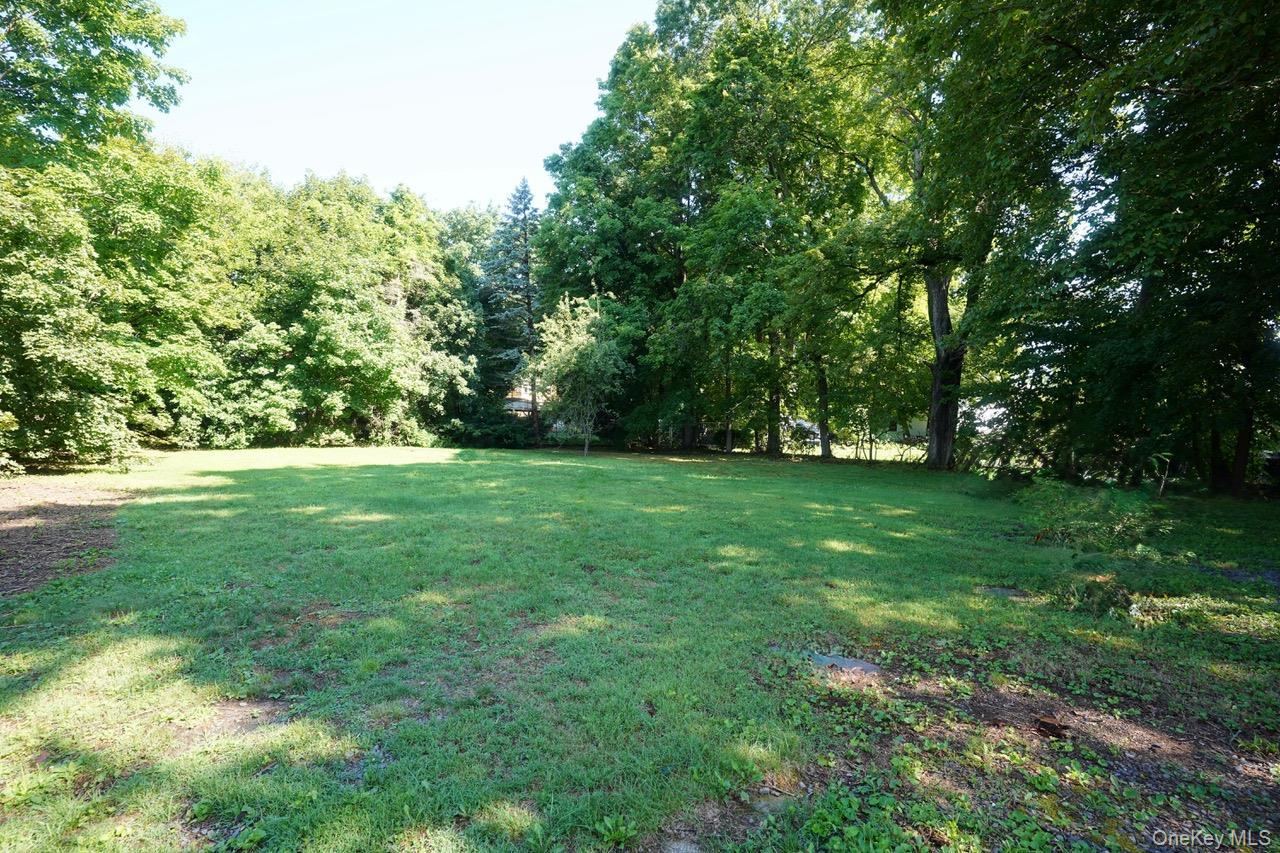 Single Family Elizabeth Street Orange County, NY 12771, MLS-1031408-46
