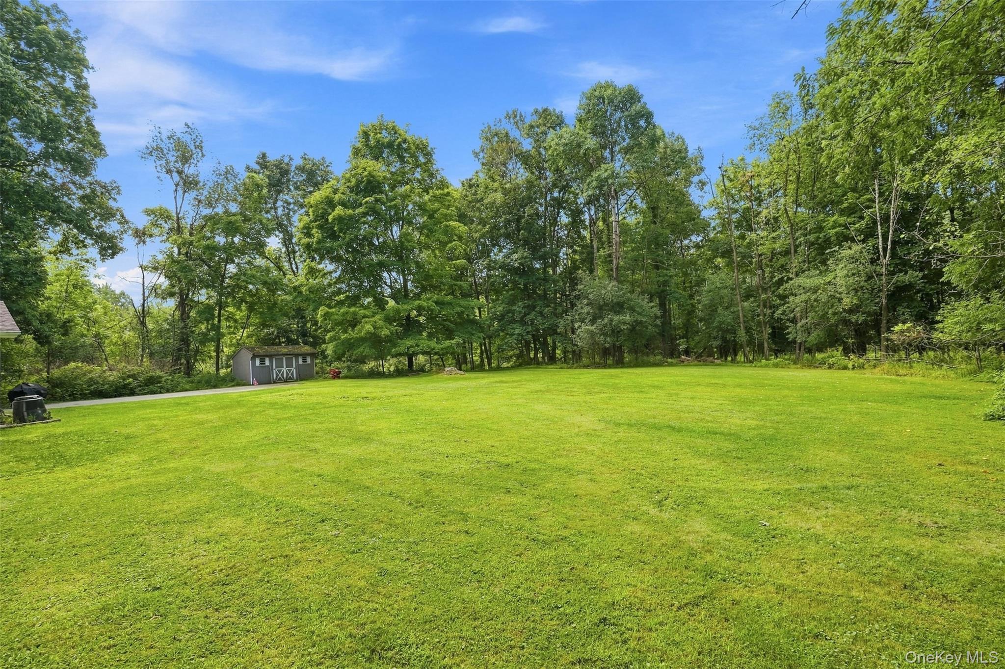 Single Family Pine Island Turnpike Orange County, NY 10990, MLS-1031433-33