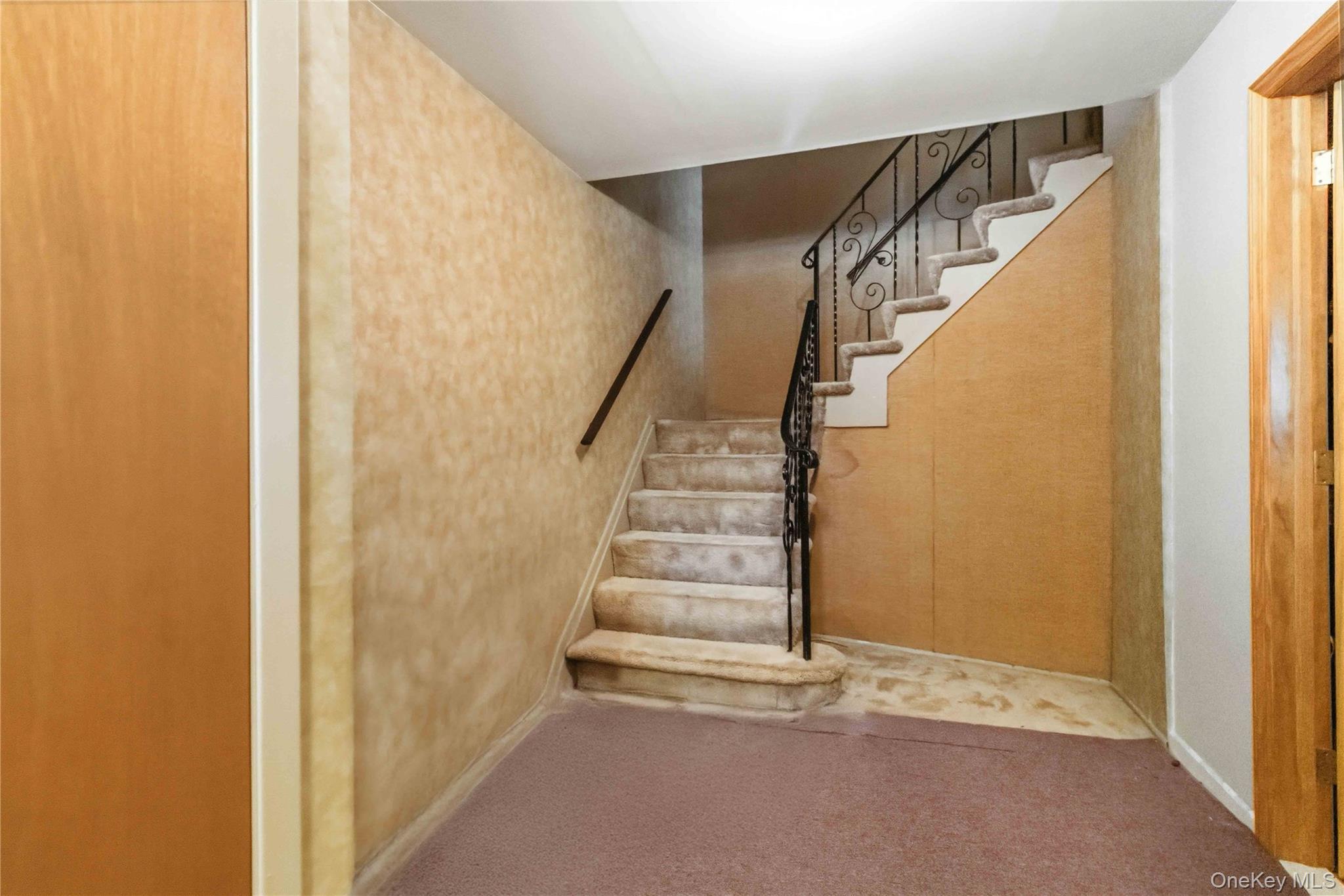 Single Family 56th Avenue Queens, NY 11364, MLS-1031445-5
