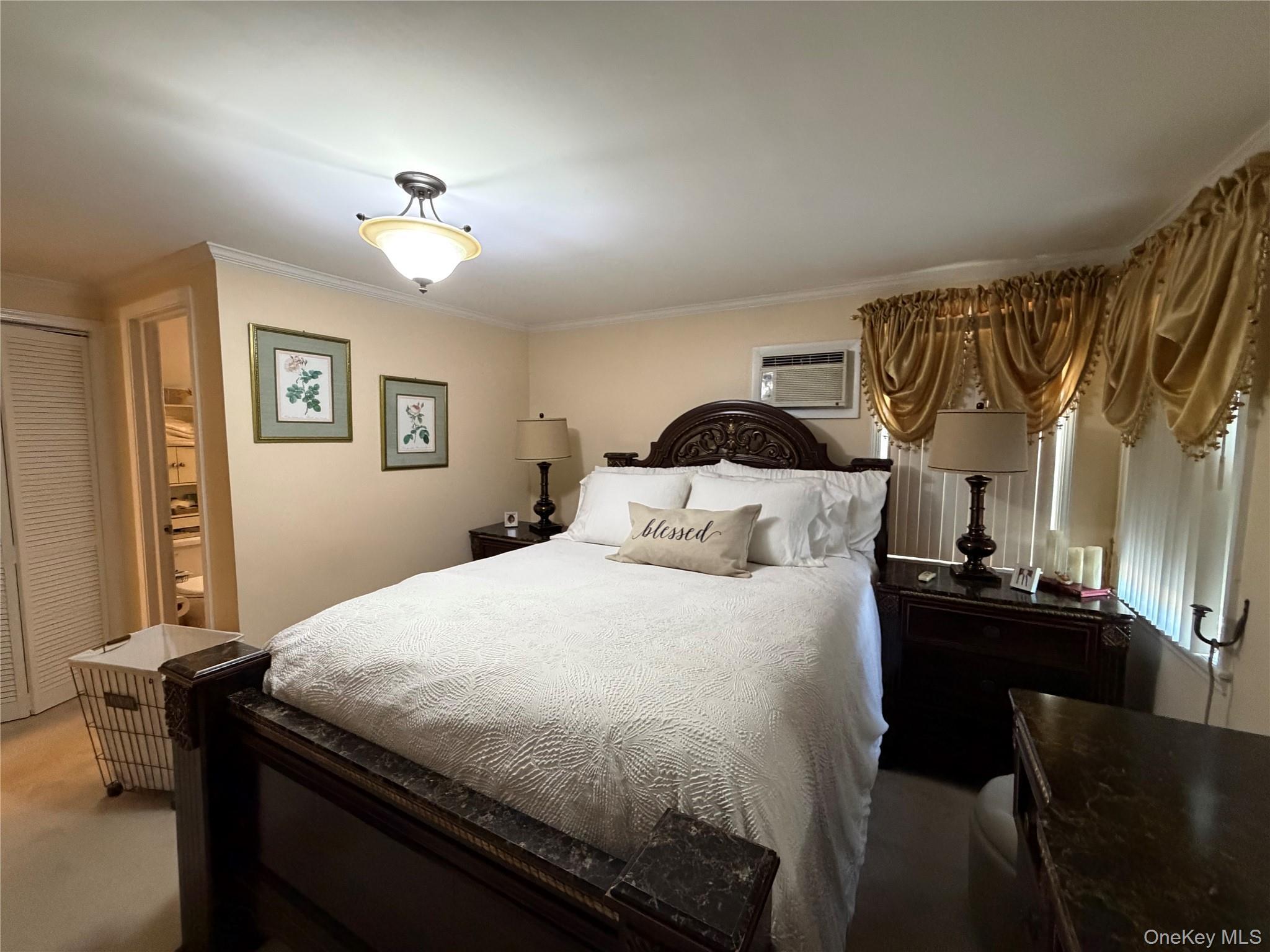Single Family Maplewood Avenue  Nassau County, NY 11550, MLS-1031450-8
