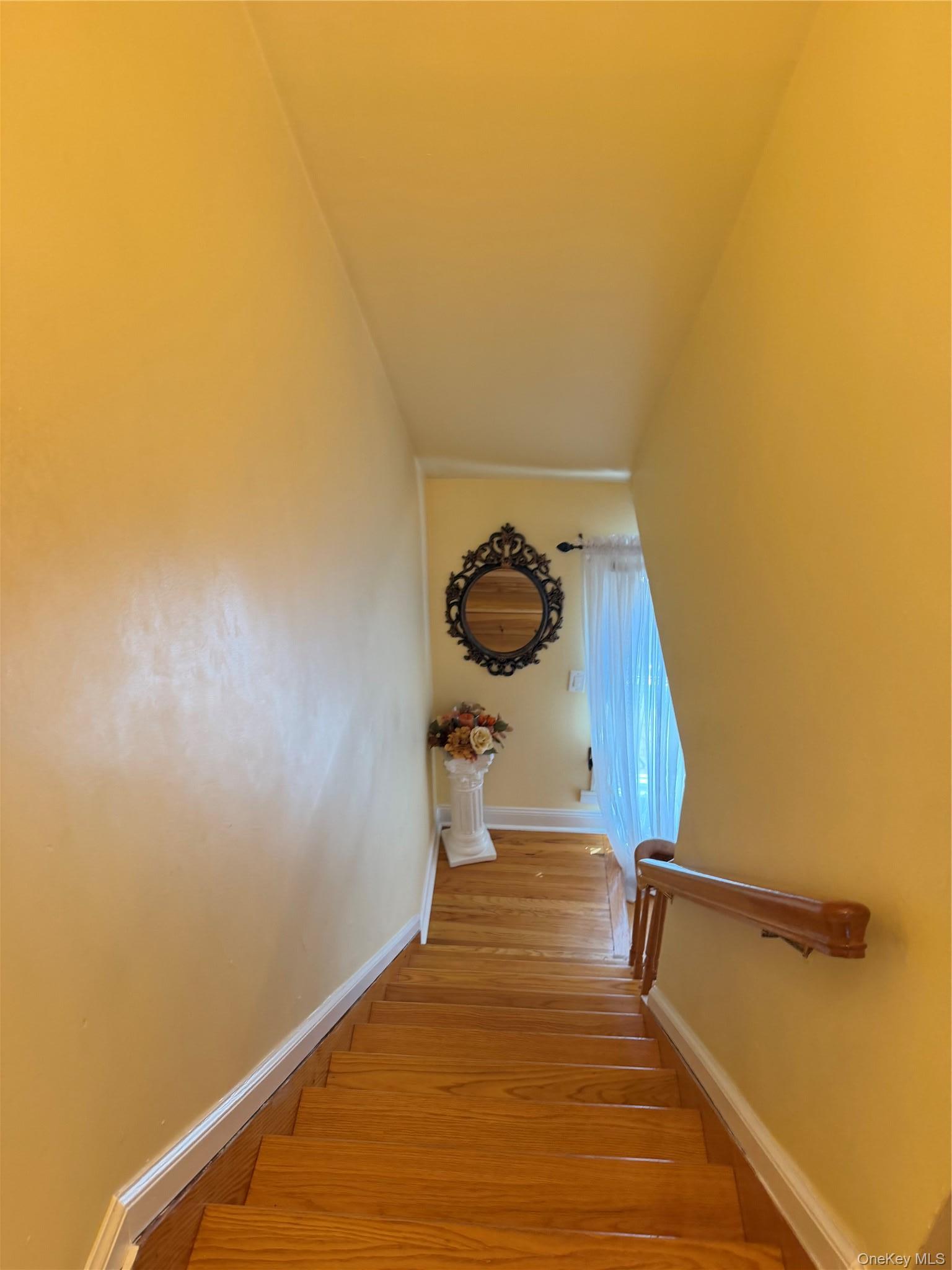 Single Family Maplewood Avenue  Nassau County, NY 11550, MLS-1031450-9