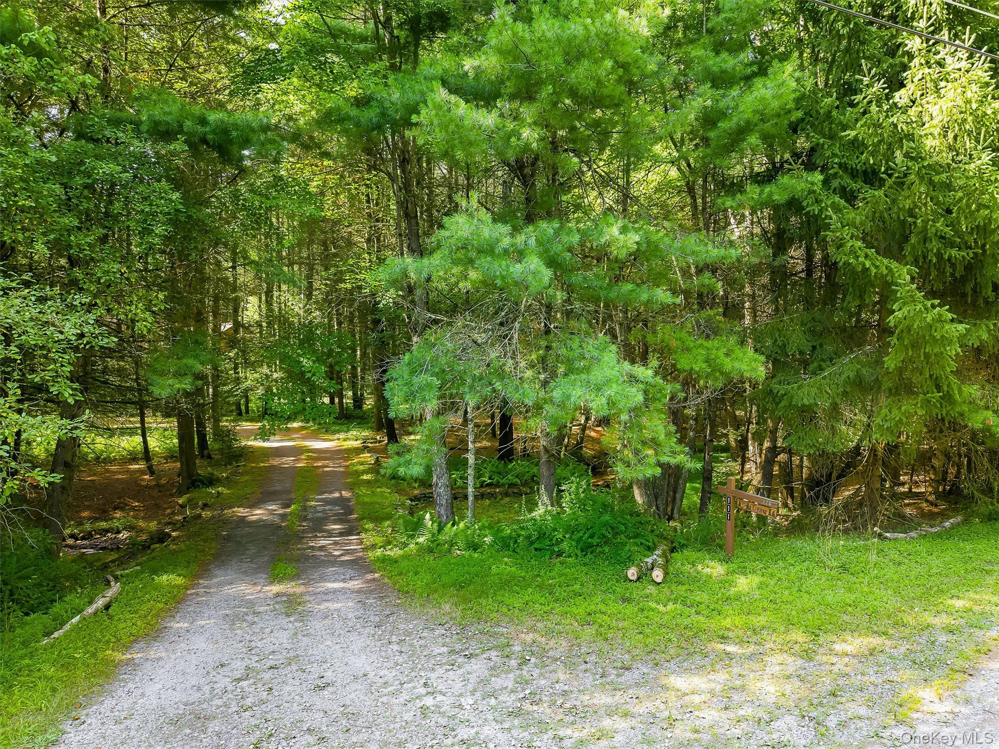Single Family Deer Meadow Road Sullivan County, NY 12786, MLS-1031460-2