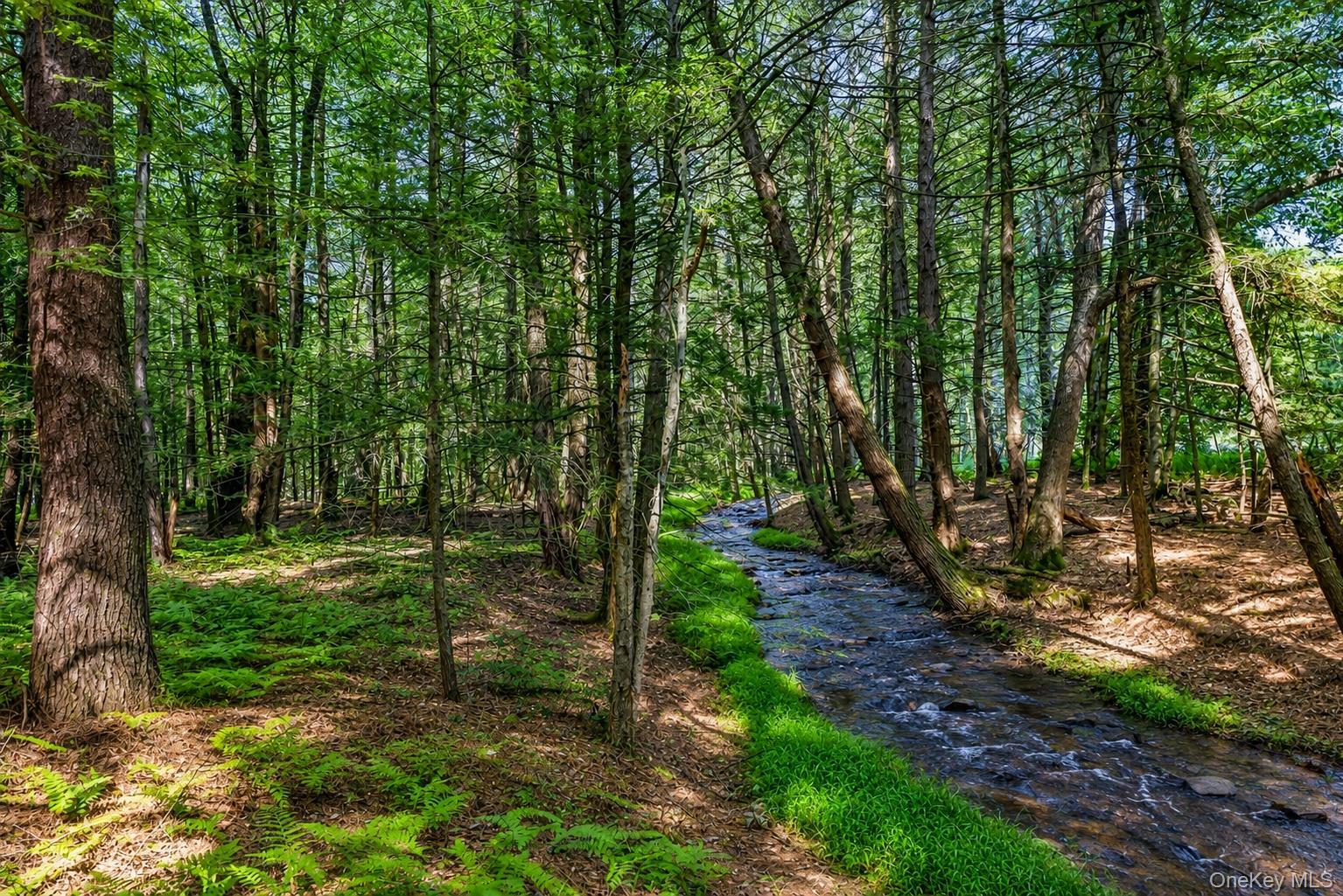 Single Family Deer Meadow Road Sullivan County, NY 12786, MLS-1031460-3