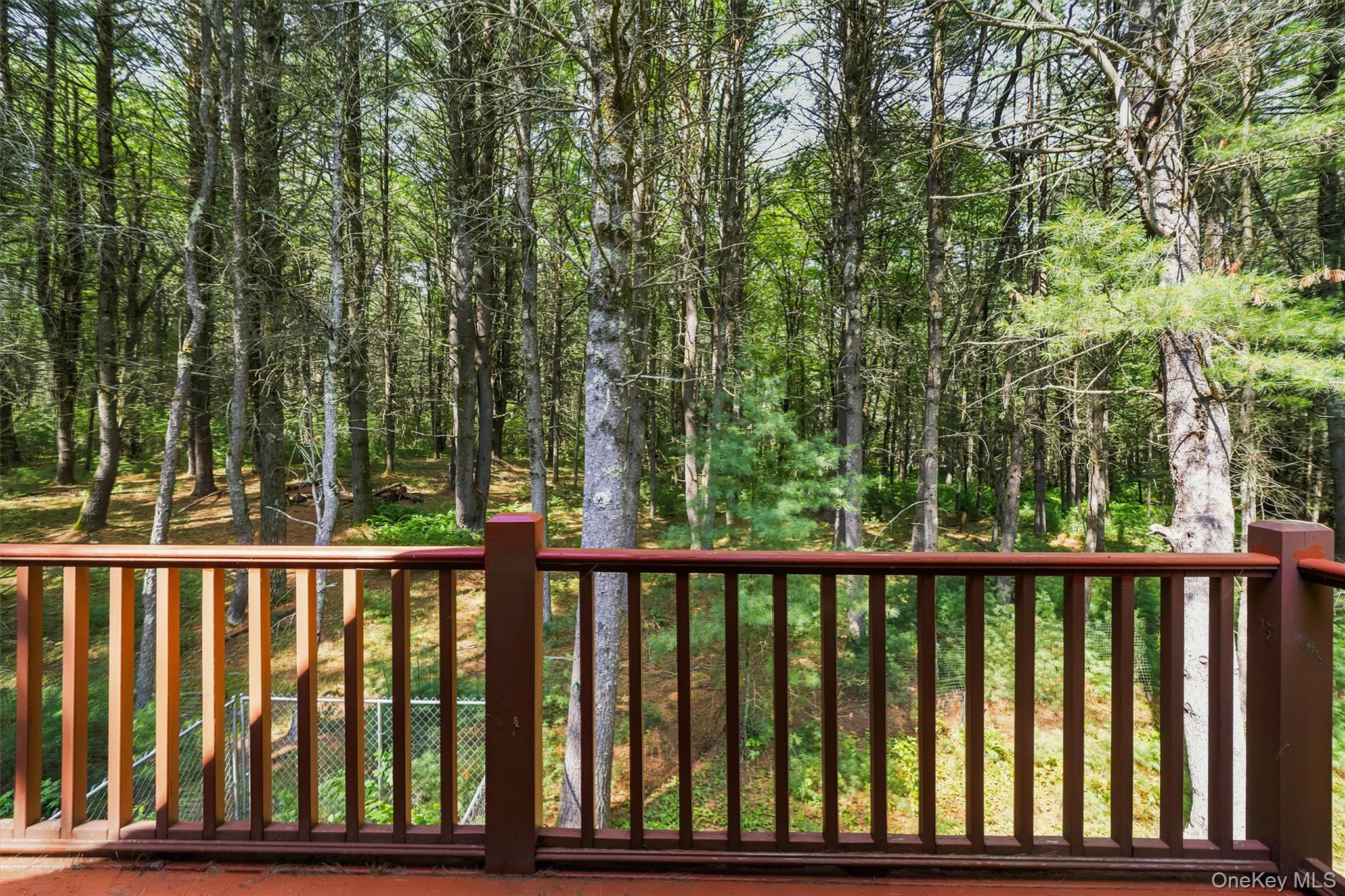 Single Family Deer Meadow Road Sullivan County, NY 12786, MLS-1031460-31