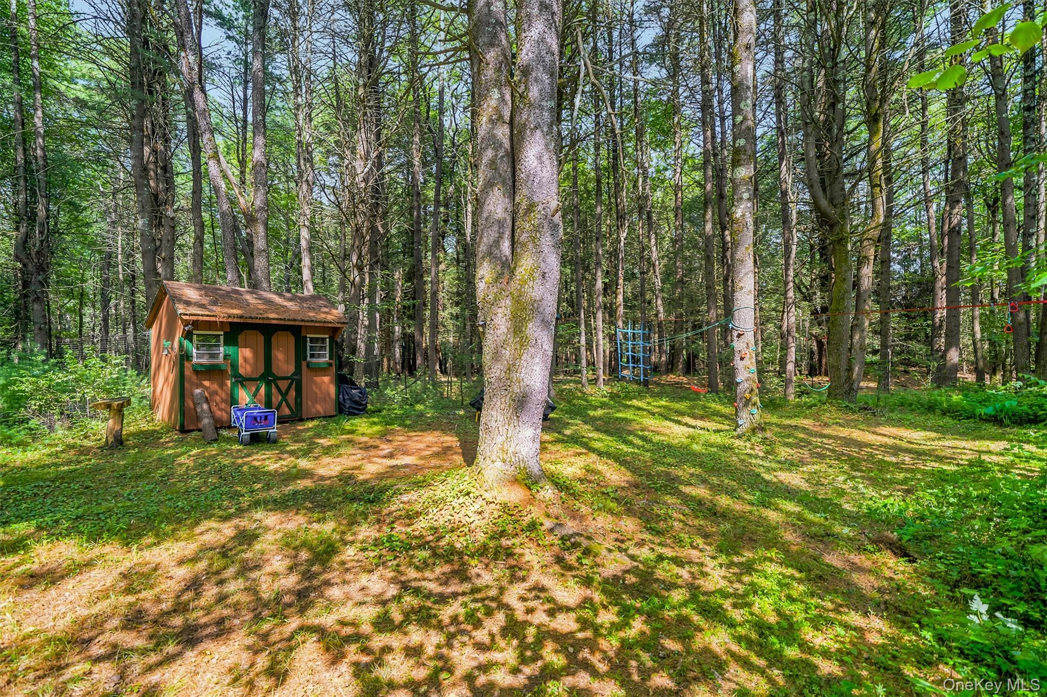 Single Family Deer Meadow Road Sullivan County, NY 12786, MLS-1031460-45