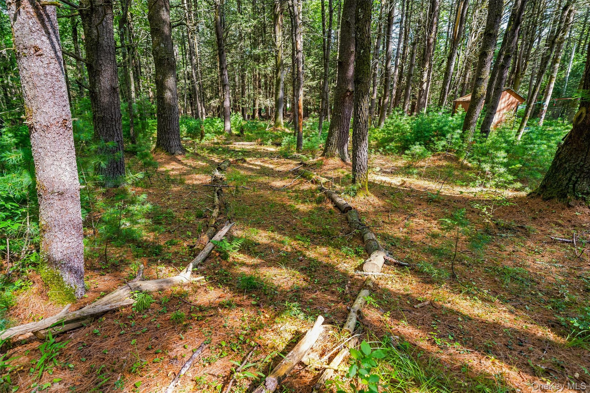 Single Family Deer Meadow Road Sullivan County, NY 12786, MLS-1031460-48