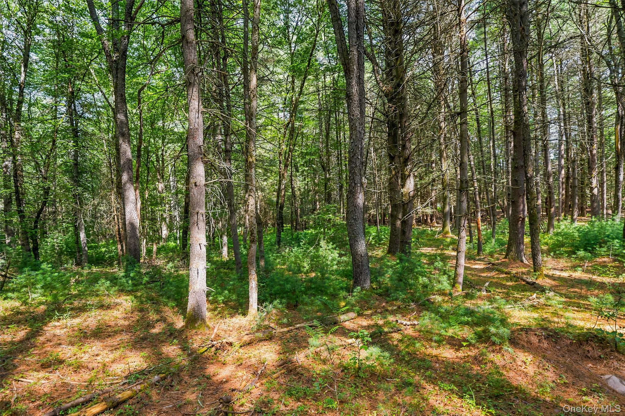 Single Family Deer Meadow Road Sullivan County, NY 12786, MLS-1031460-49