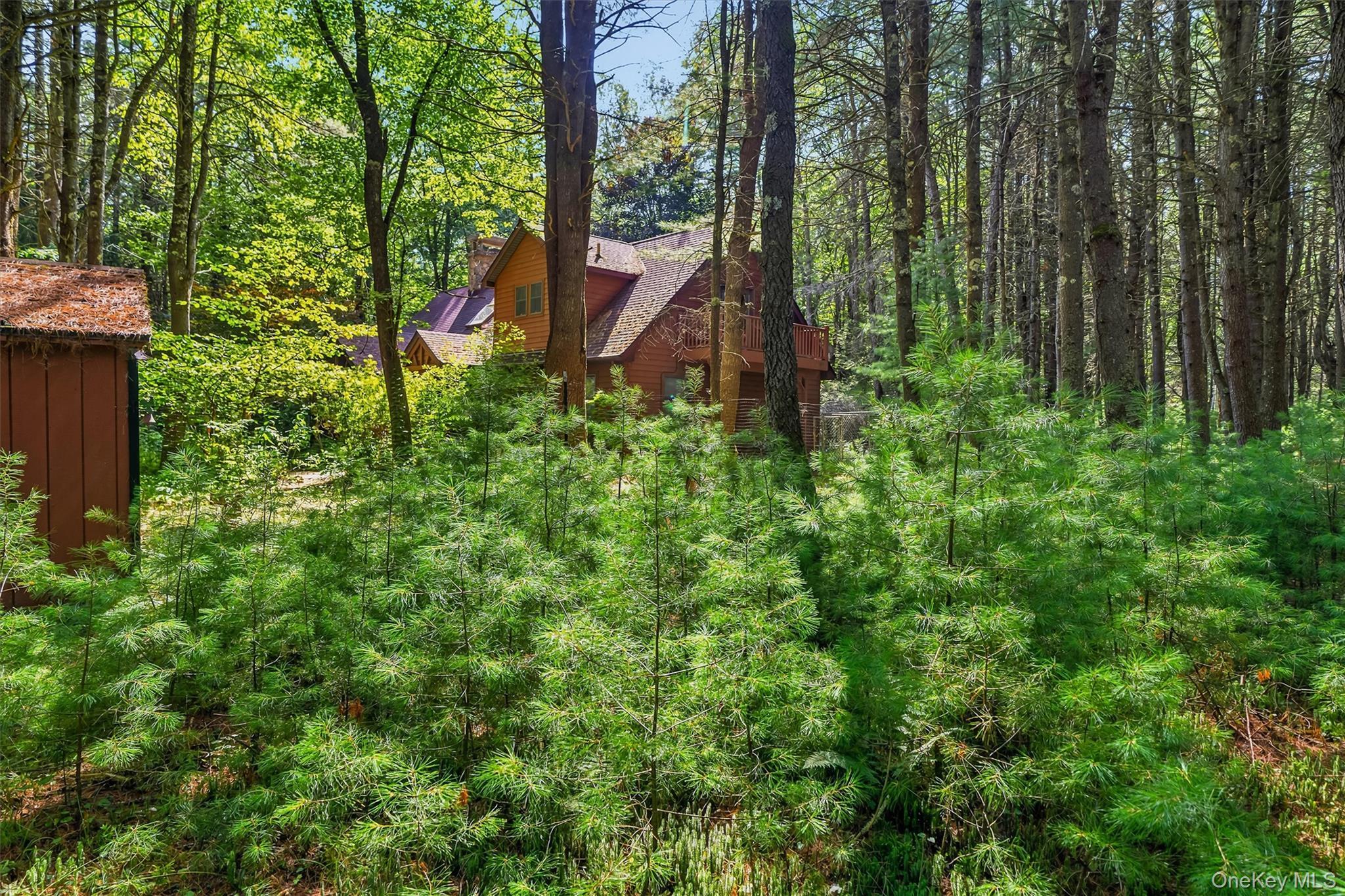 Single Family Deer Meadow Road Sullivan County, NY 12786, MLS-1031460-5