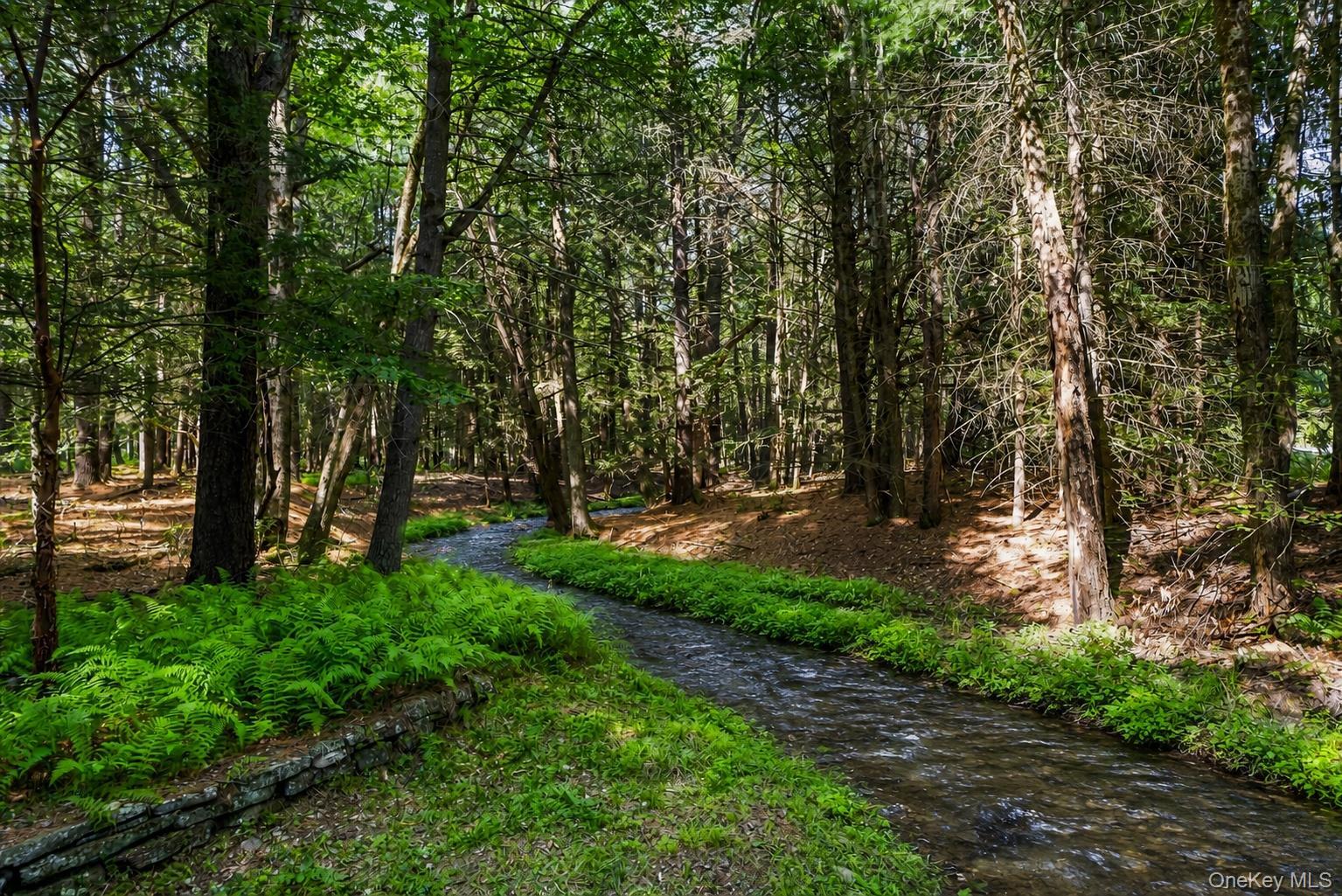 Single Family Deer Meadow Road  Sullivan County, NY 12786, MLS-1031460-50