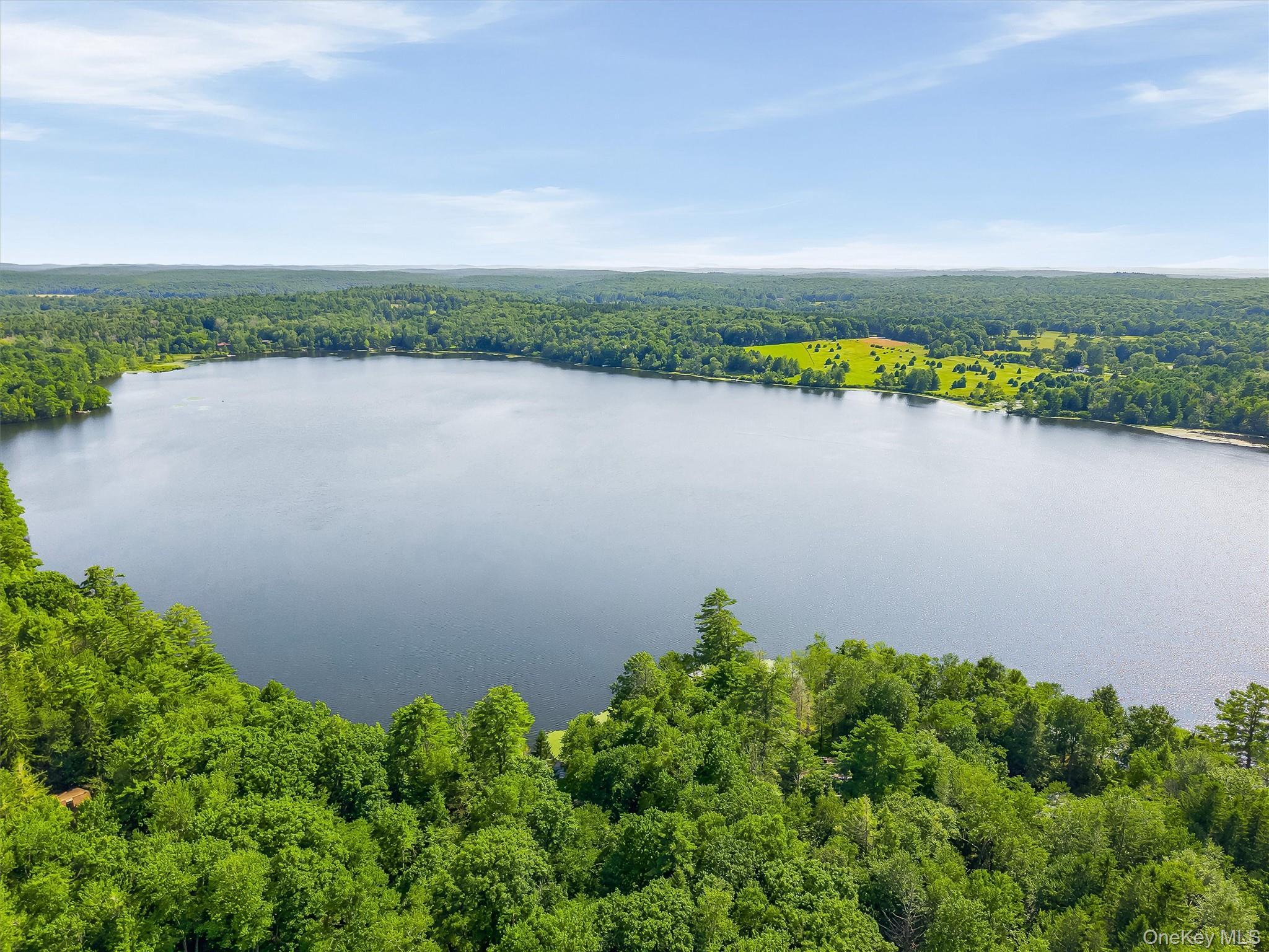 Single Family Deer Meadow Road Sullivan County, NY 12786, MLS-1031460-8