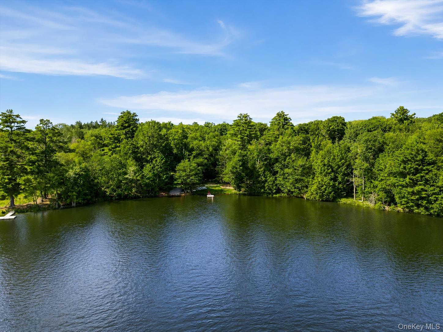 Single Family Deer Meadow Road Sullivan County, NY 12786, MLS-1031460-9