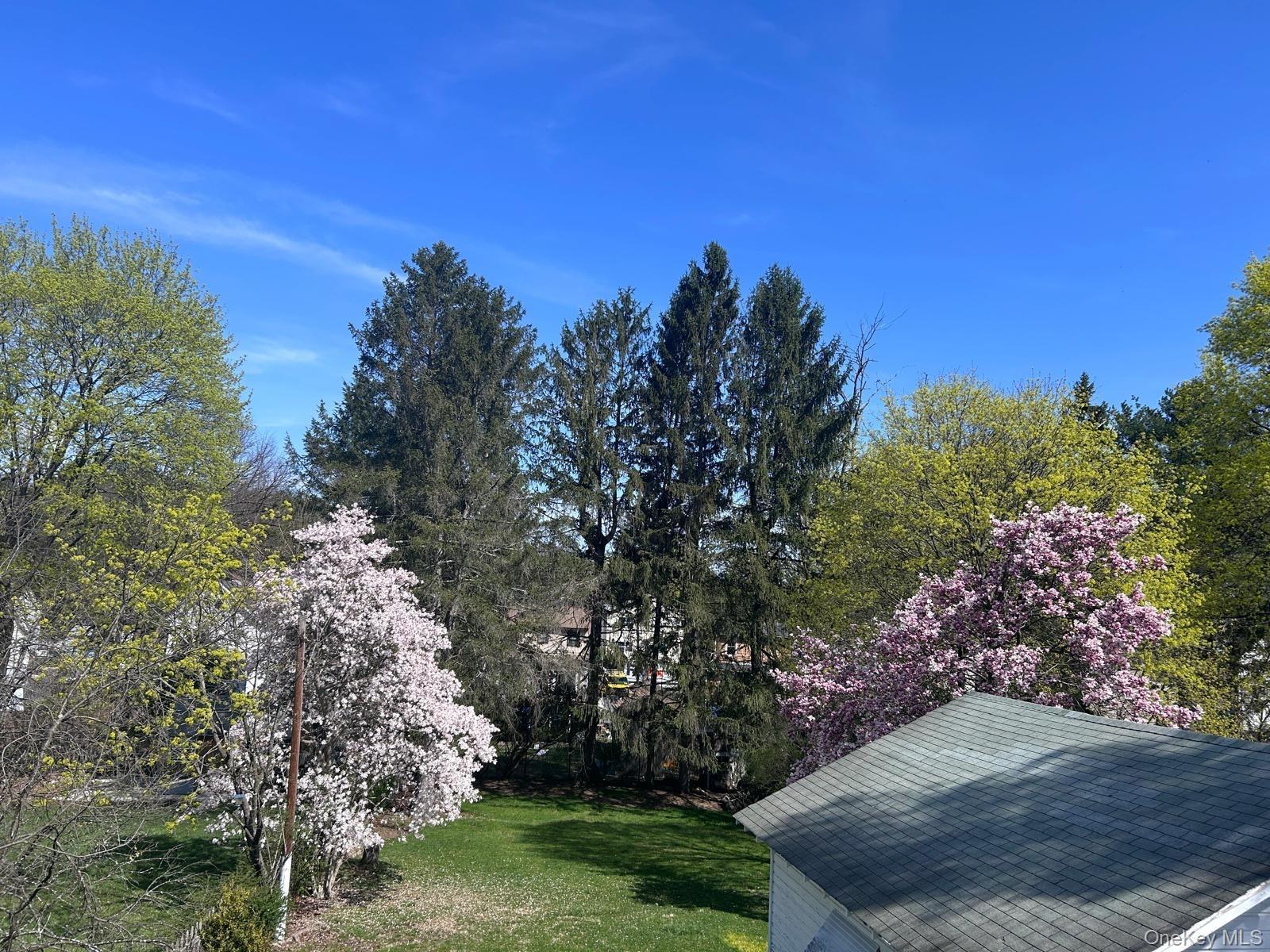 Single Family California Avenue Orange County, NY 10940, MLS-1031475-34