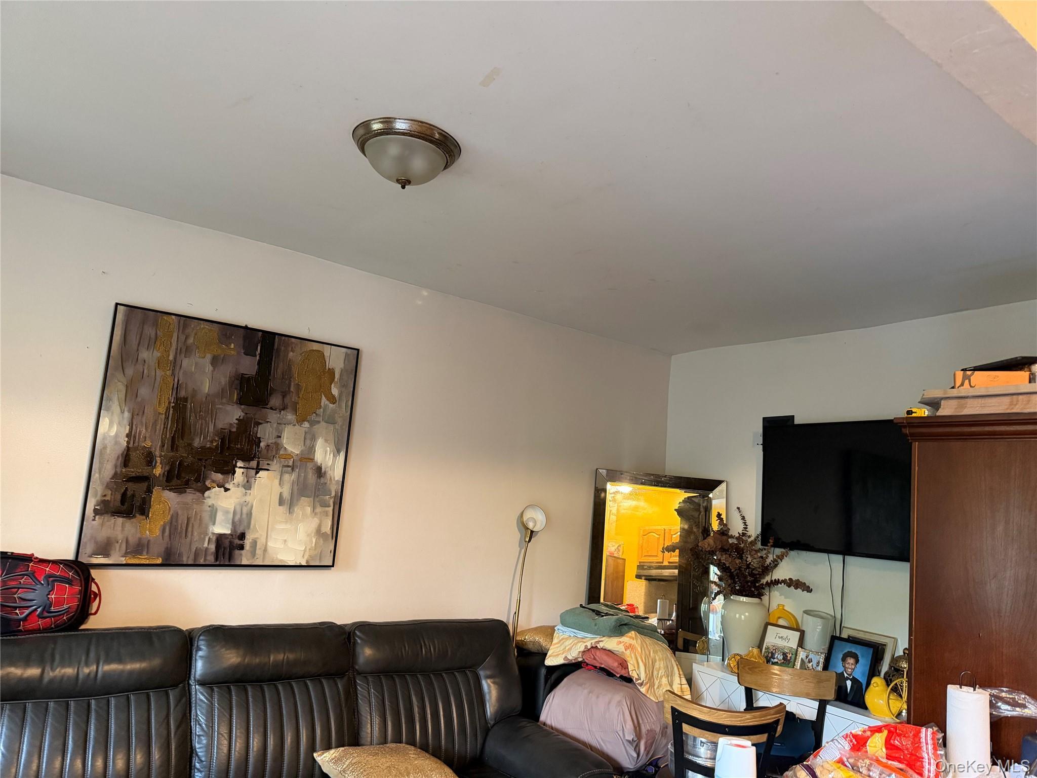 Single Family Unionport Road  Bronx, NY 10462, MLS-1031477-27