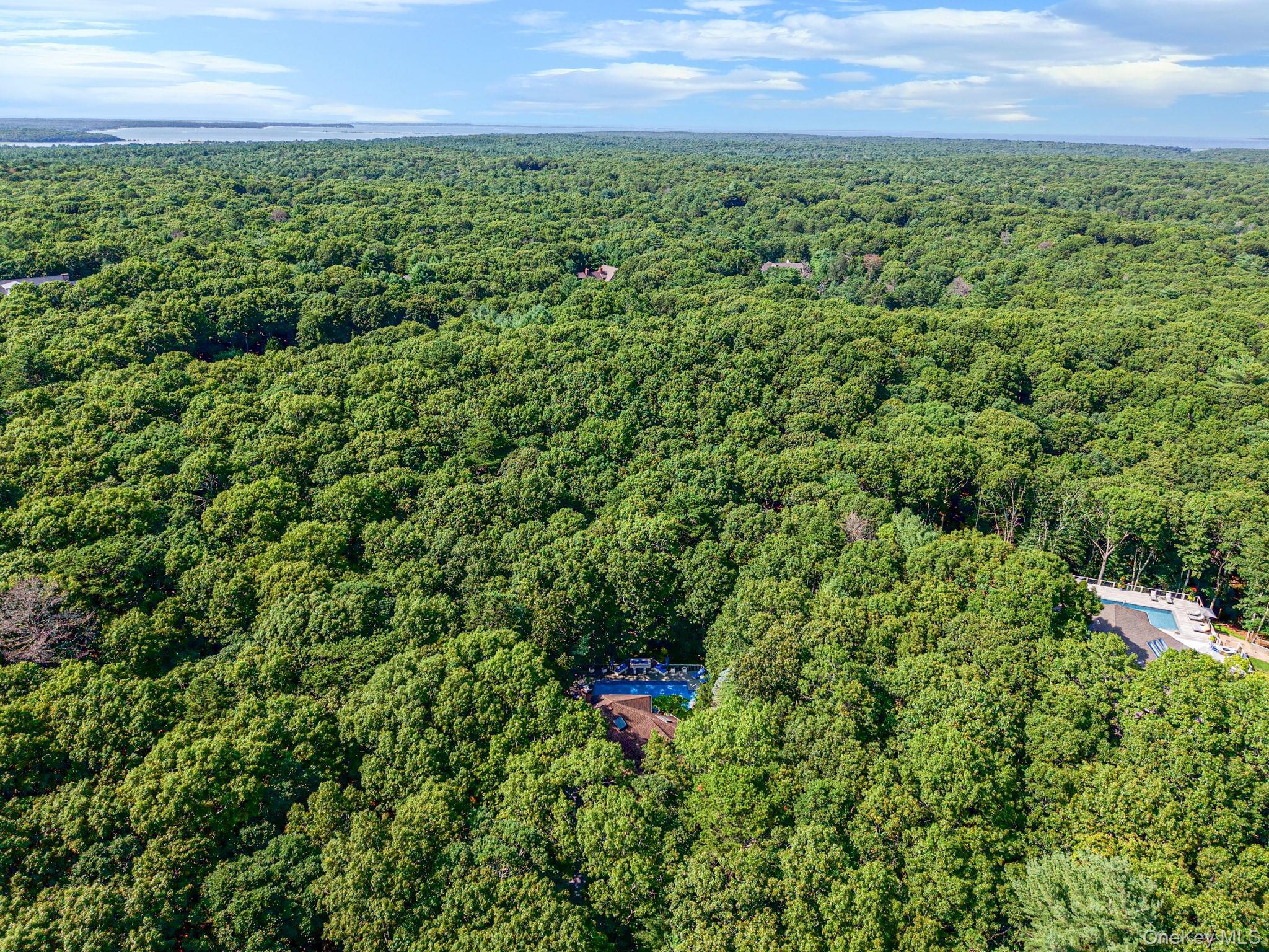 Single Family Joshuas Path  Suffolk County, NY 11937, MLS-1031499-46