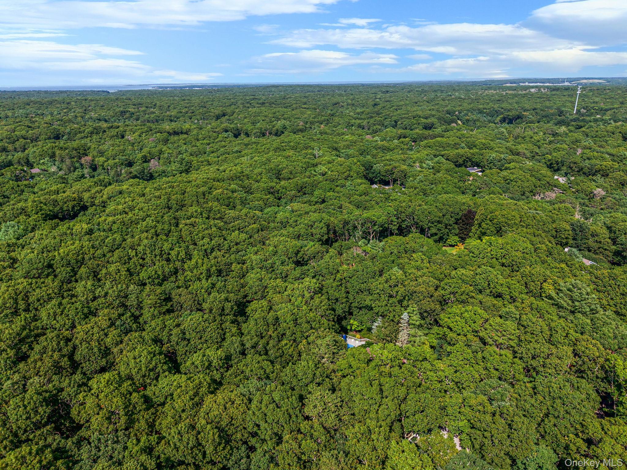 Single Family Joshuas Path  Suffolk County, NY 11937, MLS-1031499-47