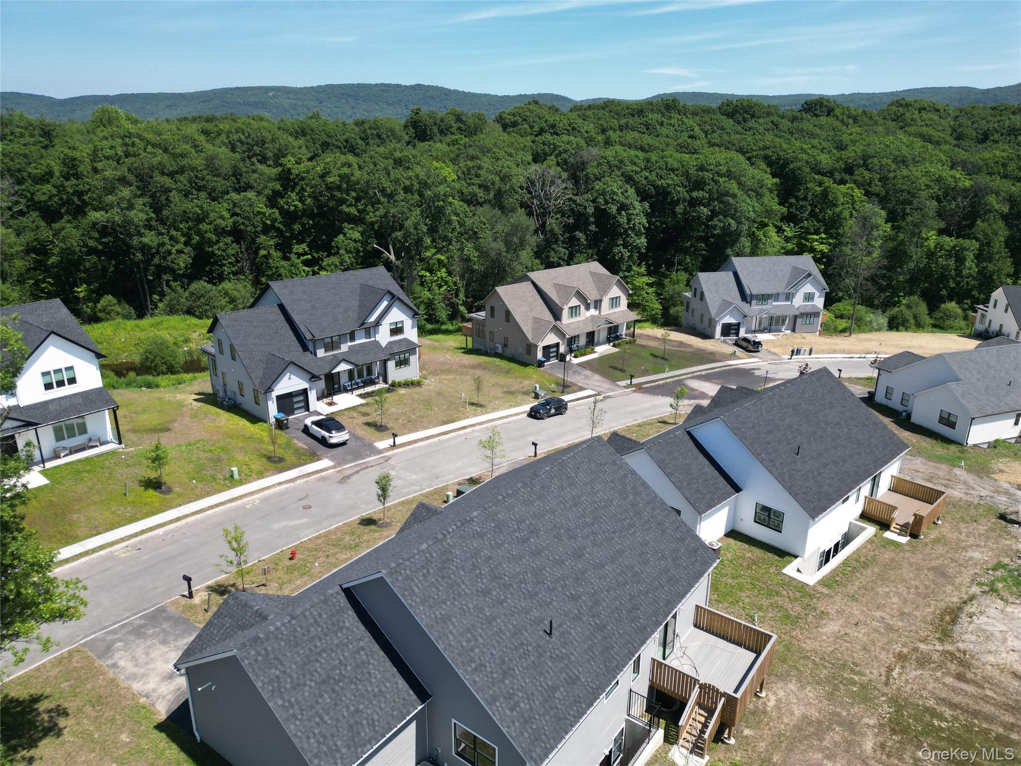 Single Family Union Transfer Orange County, NY 10950, MLS-1031518-2
