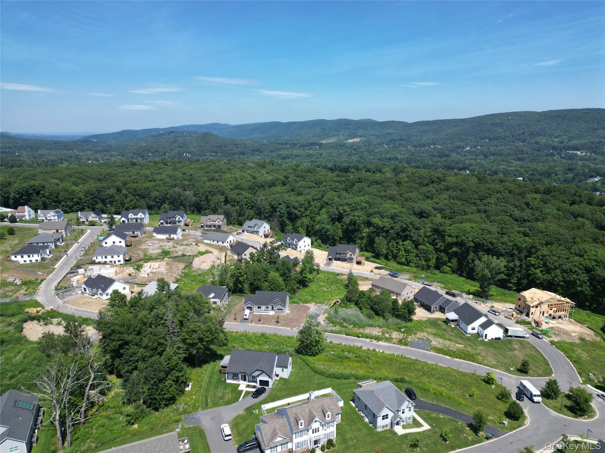 Single Family Union Transfer Orange County, NY 10950, MLS-1031518-3