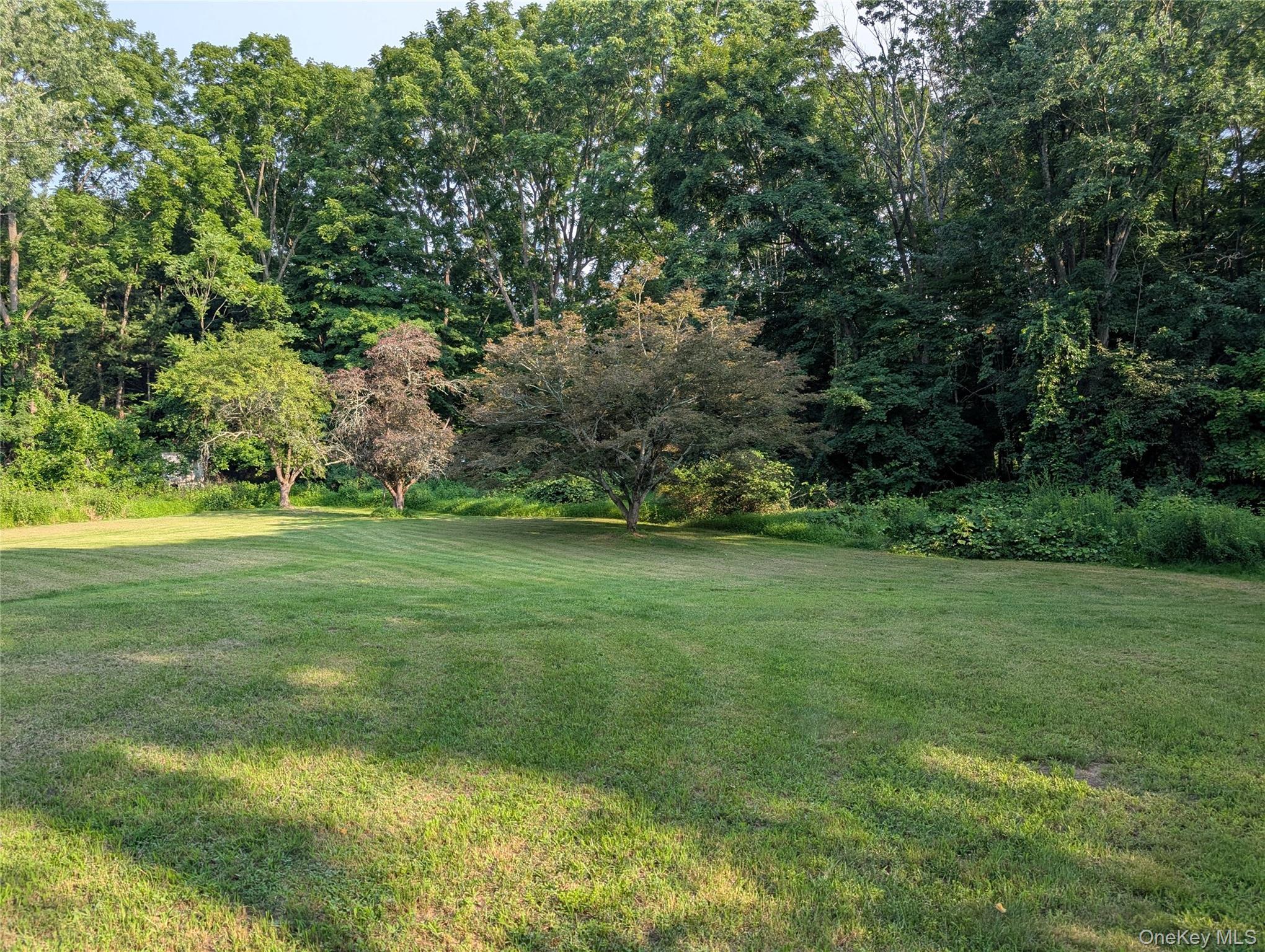 Single Family Pike Court  Orange County, NY 10950, MLS-1031523-3