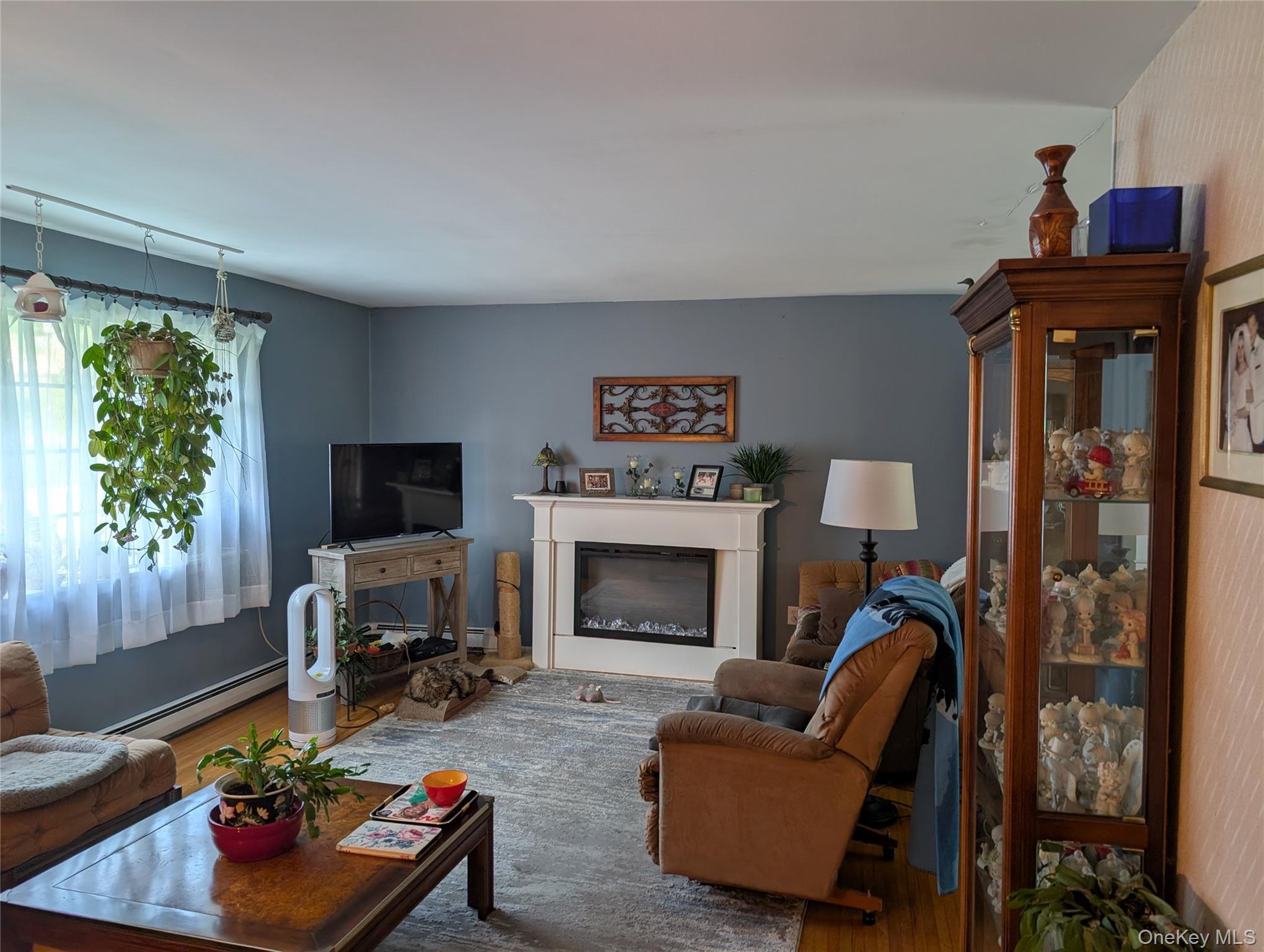 Single Family Pike Court  Orange County, NY 10950, MLS-1031523-4