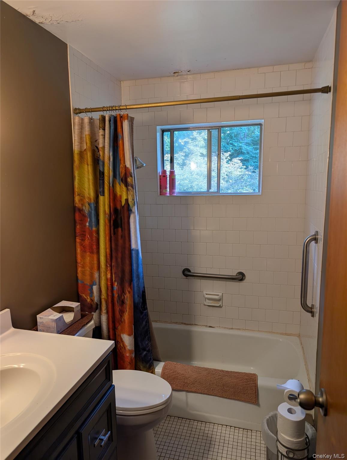 Single Family Pike Court  Orange County, NY 10950, MLS-1031523-8