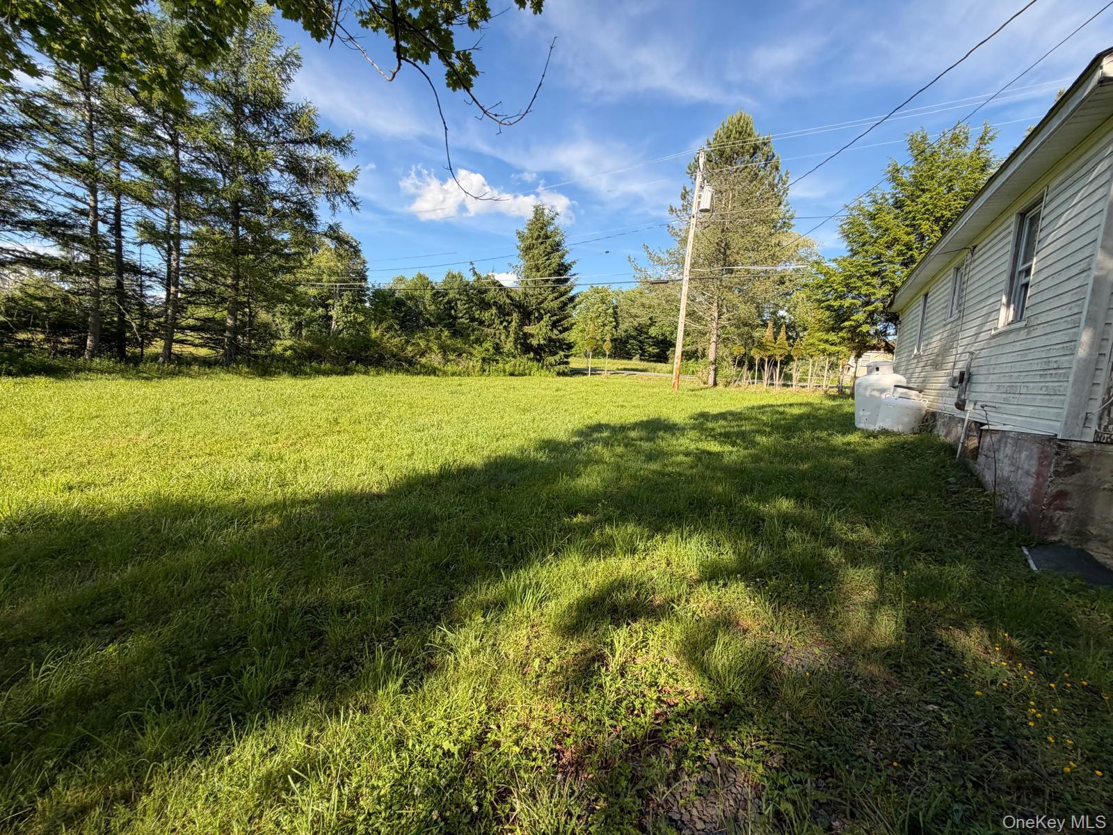 Single Family Lt Brender Hwy Sullivan County, NY 12734, MLS-1031529-4