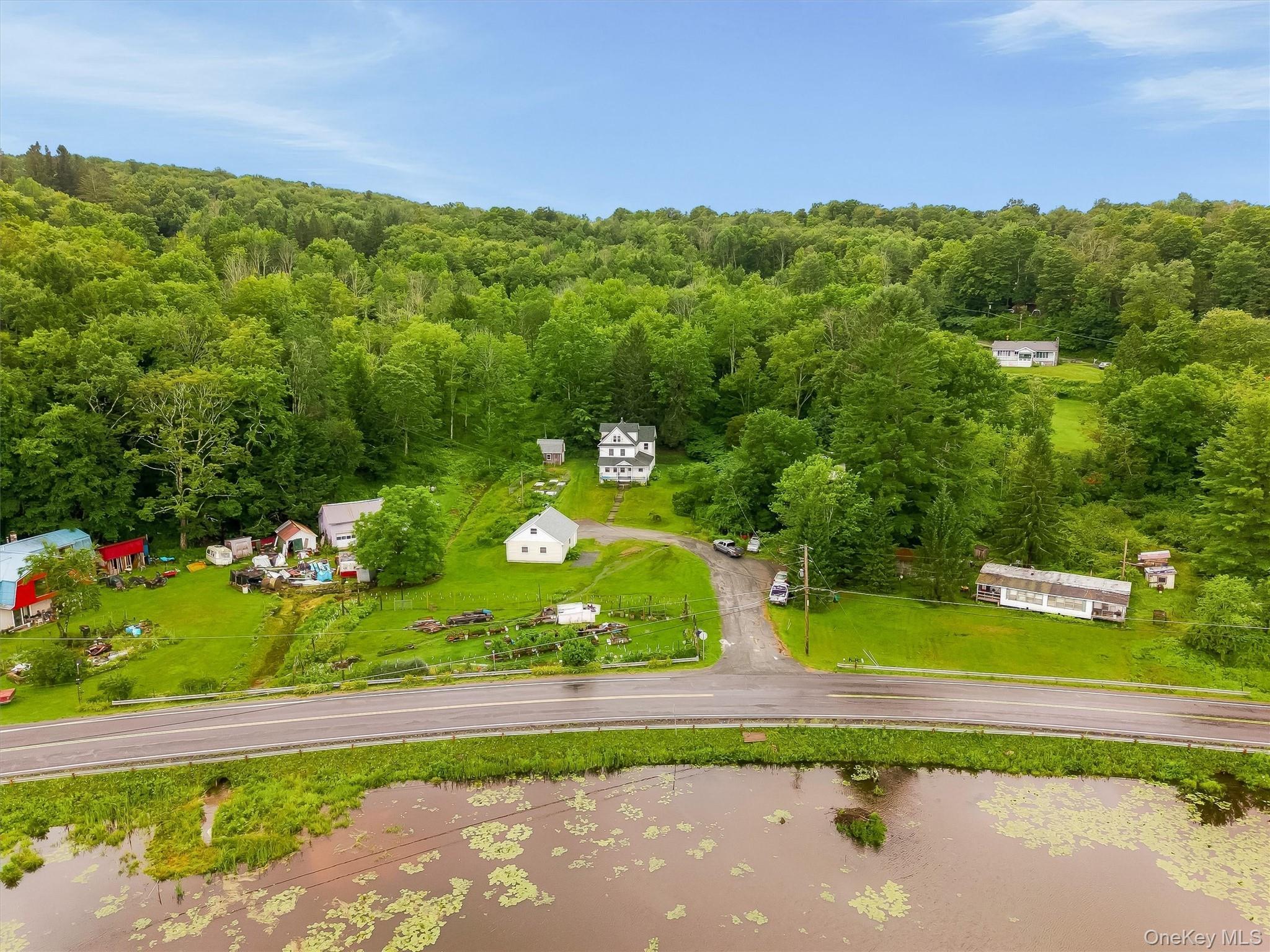 Single Family Norris Drive Sullivan County, NY 12783, MLS-1031539-48