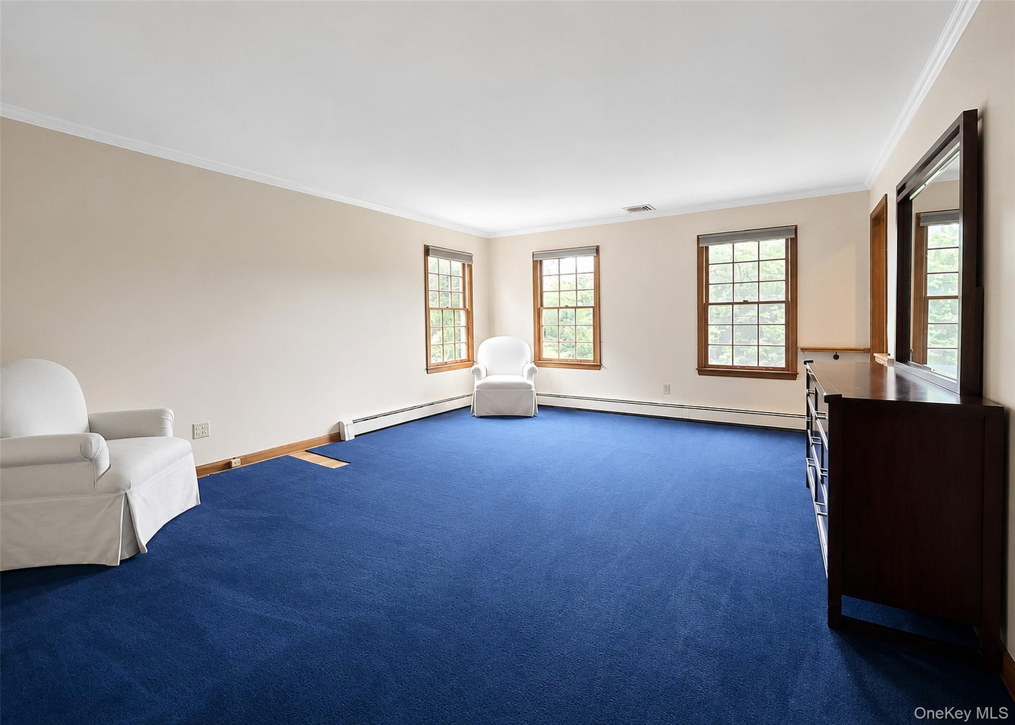 Single Family Woodhull Road Suffolk County, NY 11733, MLS-1031554-13