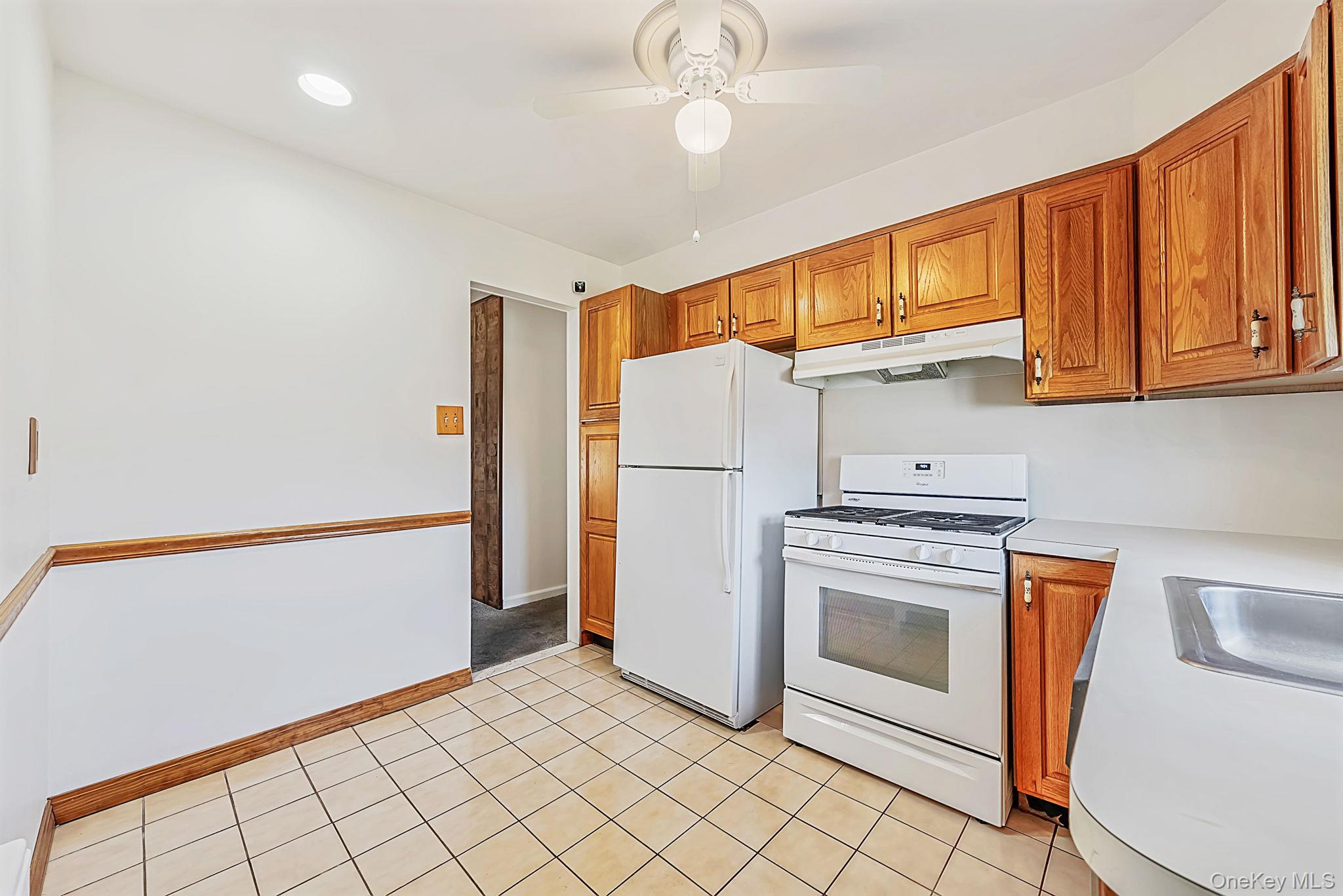 Single Family 10th Street Nassau County, NY 11714, MLS-1031563-10