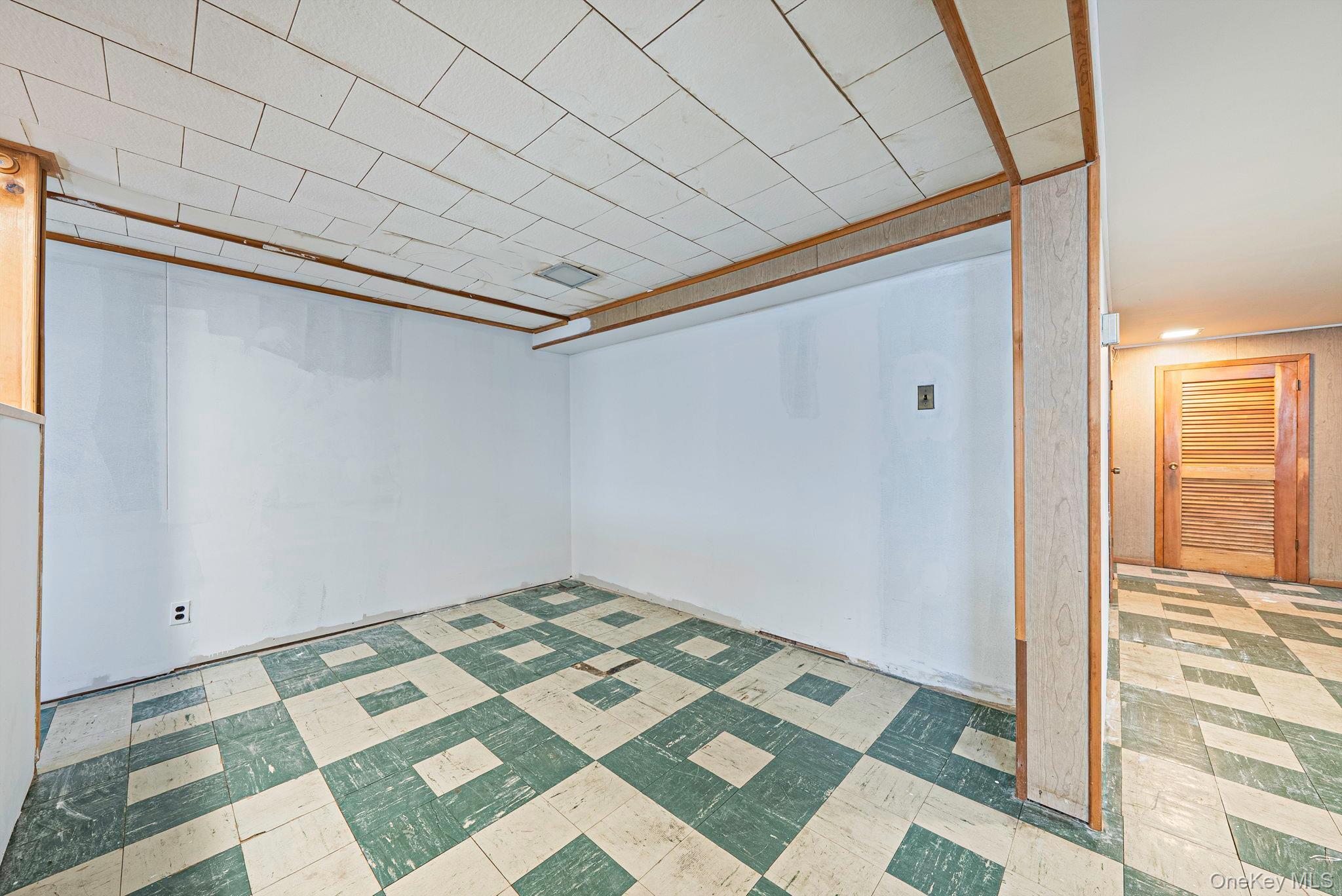 Single Family 10th Street Nassau County, NY 11714, MLS-1031563-20
