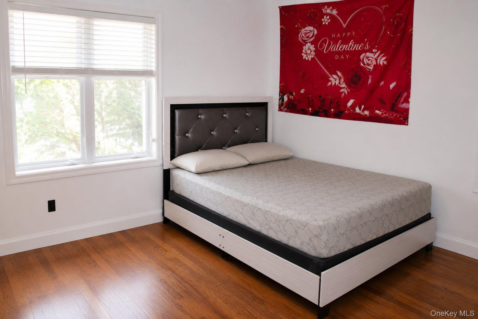 Single Family 232nd Street Queens, NY 11413, MLS-1031594-37