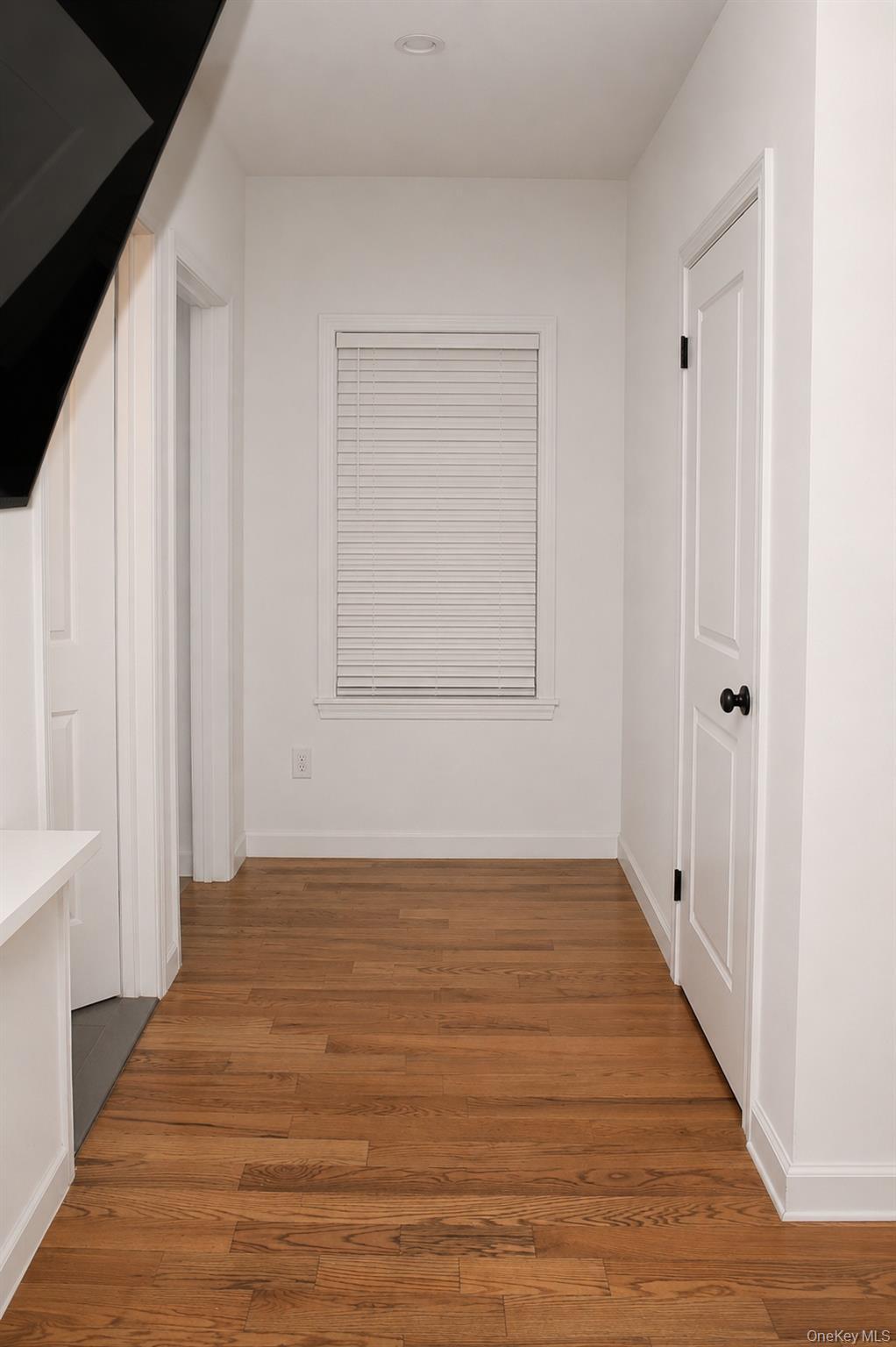 Single Family 232nd Street Queens, NY 11413, MLS-1031594-47
