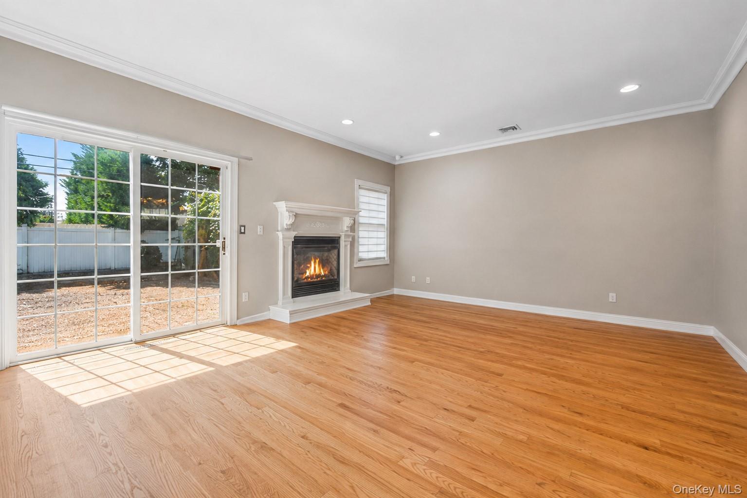 Single Family Manetto Drive  Nassau County, NY 11803, MLS-1031606-11
