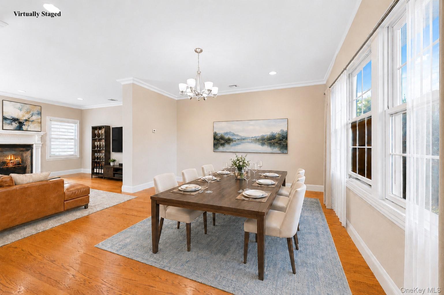 Single Family Manetto Drive  Nassau County, NY 11803, MLS-1031606-13
