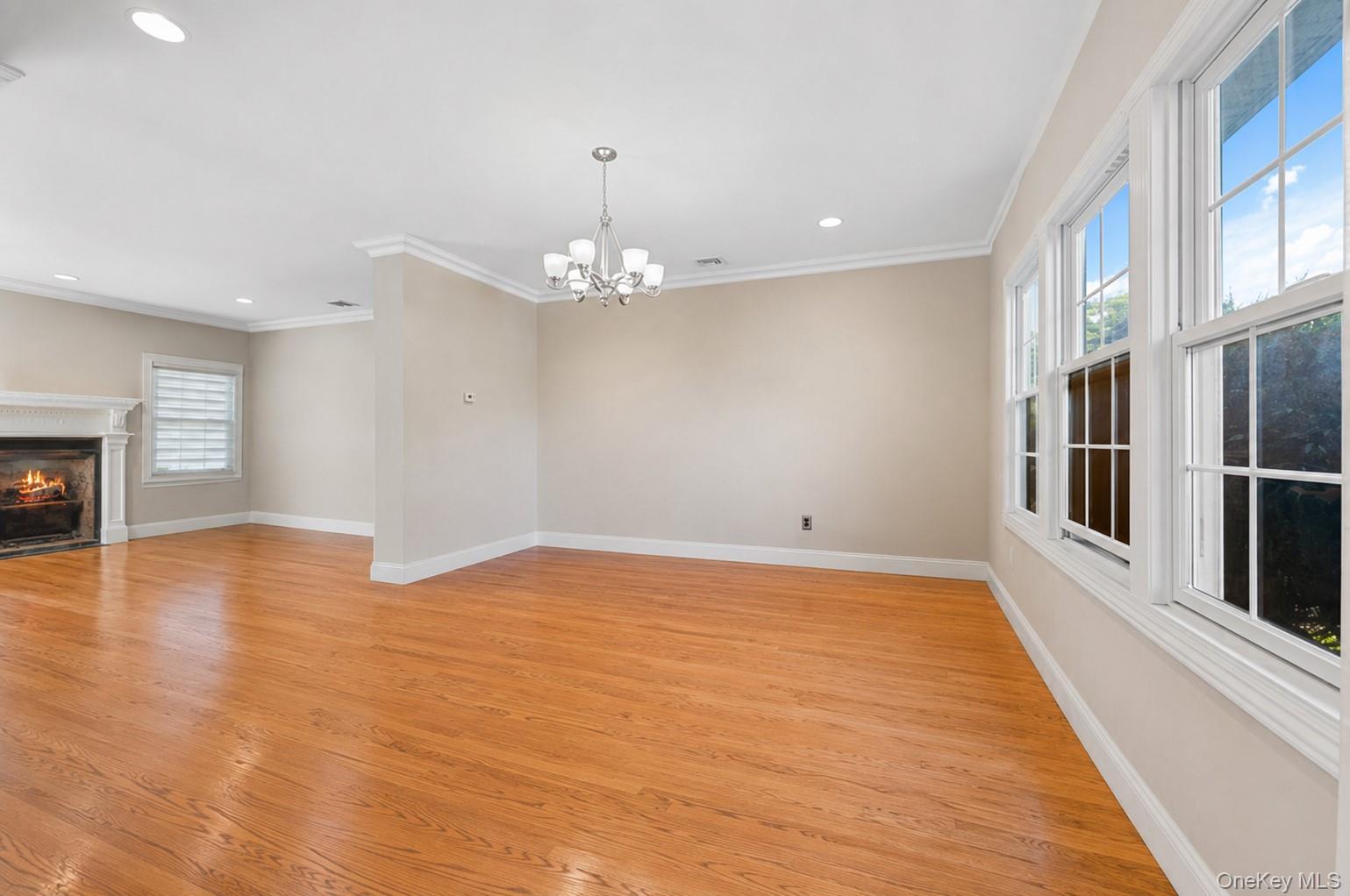 Single Family Manetto Drive  Nassau County, NY 11803, MLS-1031606-19