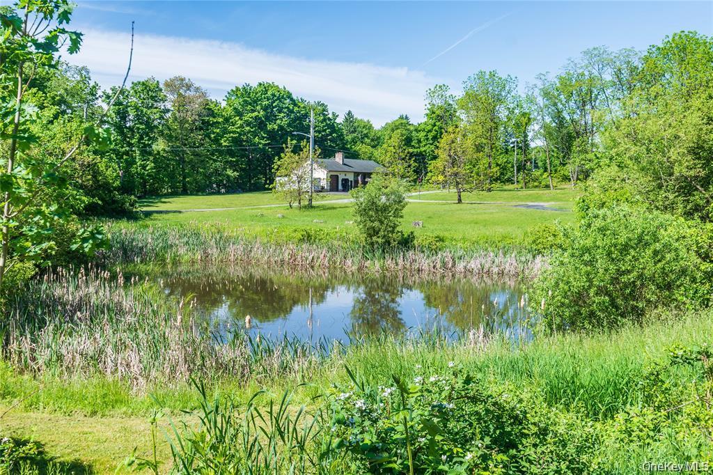 Single Family Bendlin Lane Orange County, NY 10932, MLS-1031608-20