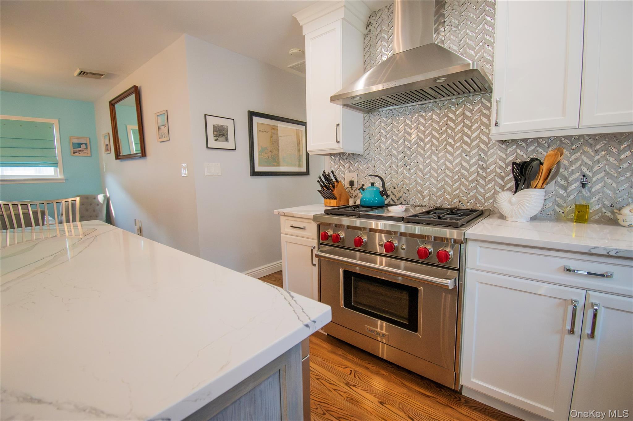 Single Family Parkway Drive  Nassau County, NY 11510, MLS-1031612-14