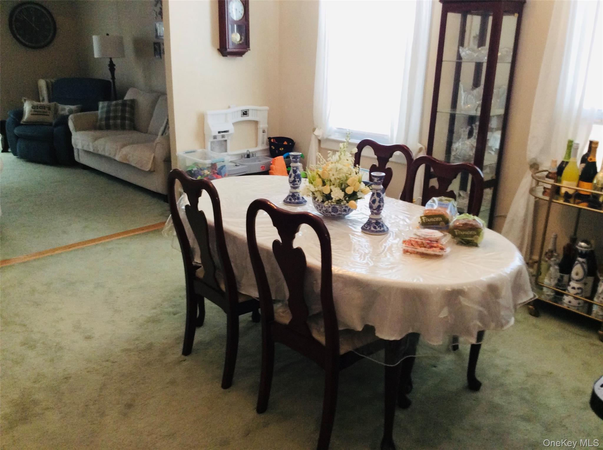 Single Family Central Avenue Queens, NY 11385, MLS-1031640-10