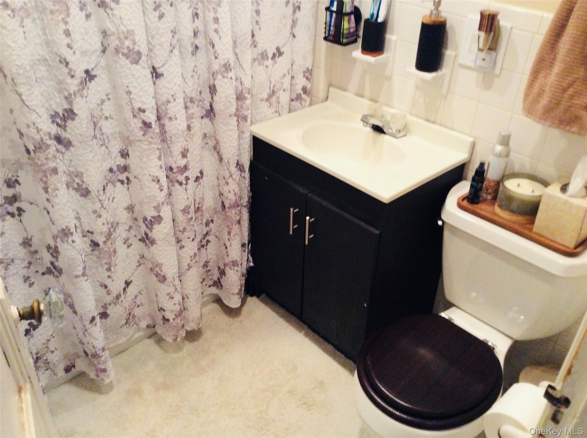 Single Family Central Avenue Queens, NY 11385, MLS-1031640-11