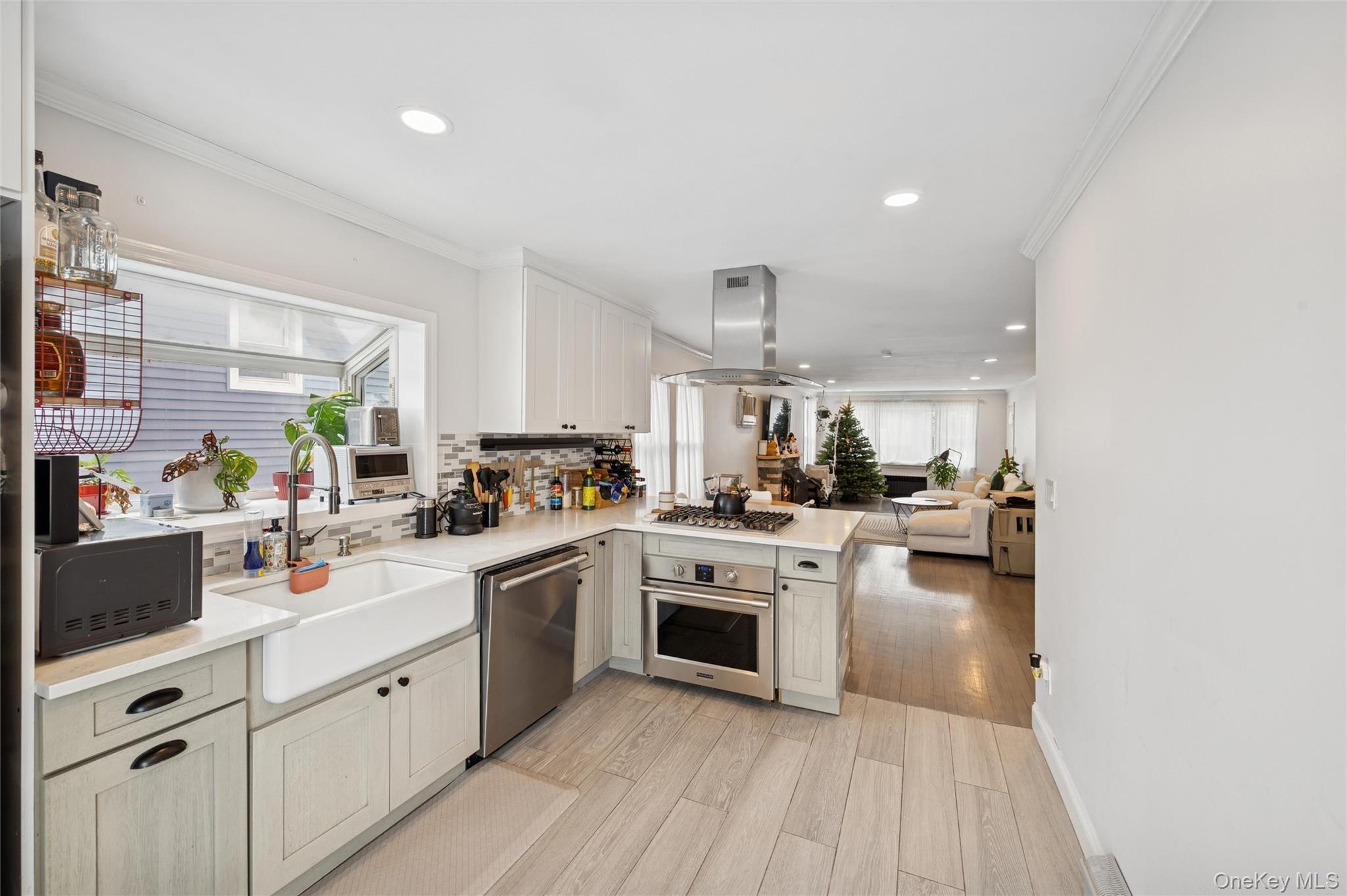 Single Family Traymore Boulevard  Nassau County, NY 11558, MLS-1031659-11